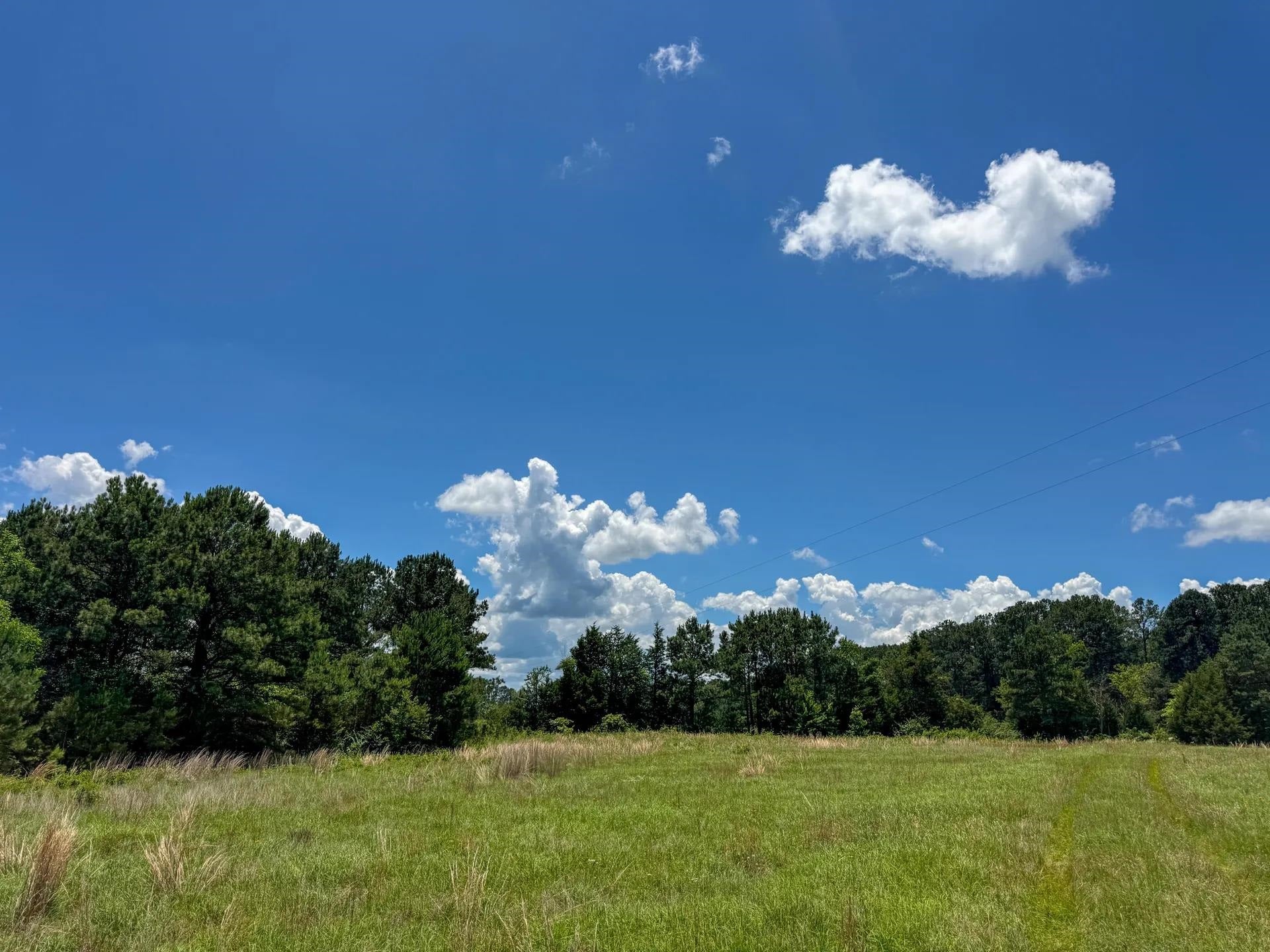 Douglassville, Texas, 75560, United States, ,Land,For Sale,2048006