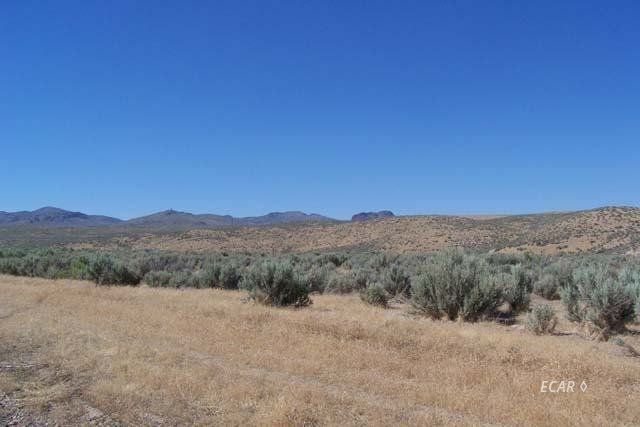 9999 N 5th Street Street, Elko, Nevada, 89801, United States, ,Land,For Sale,9999 N 5th Street Street,1552649
