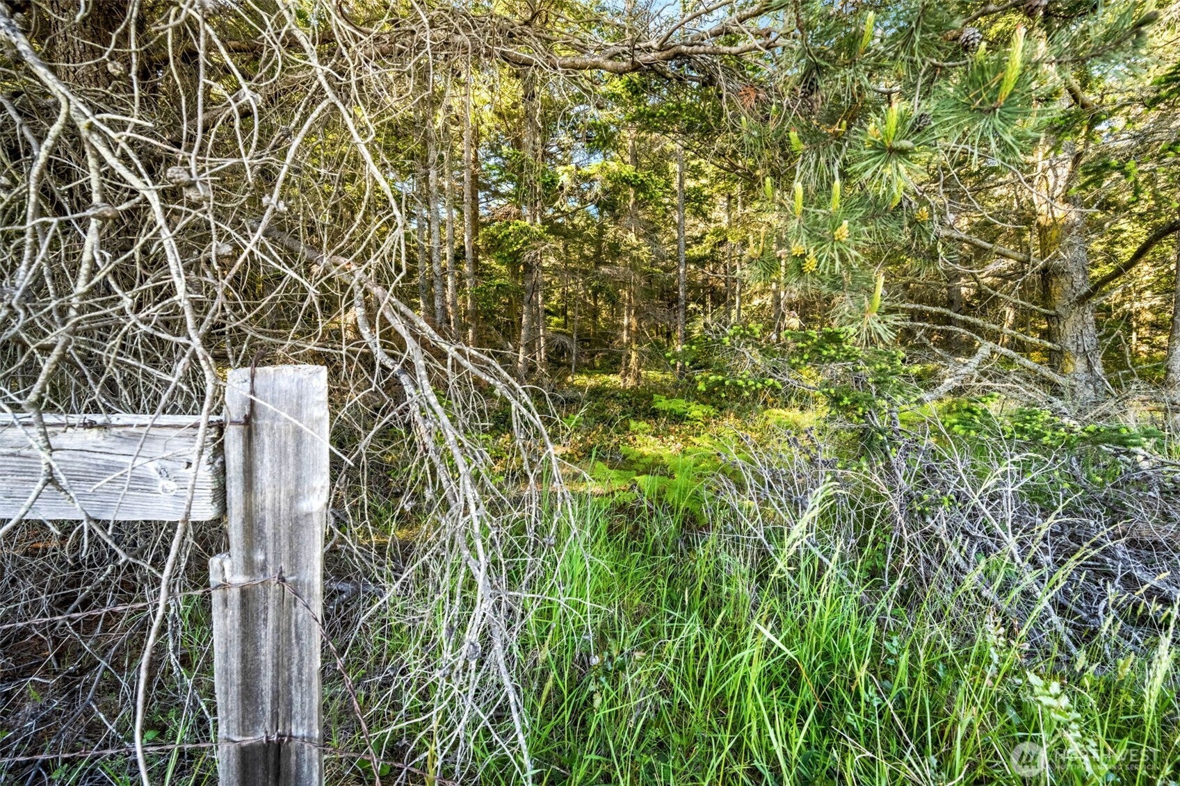 Lopez Island, Washington, 98261, United States, ,Land,For Sale,1982607