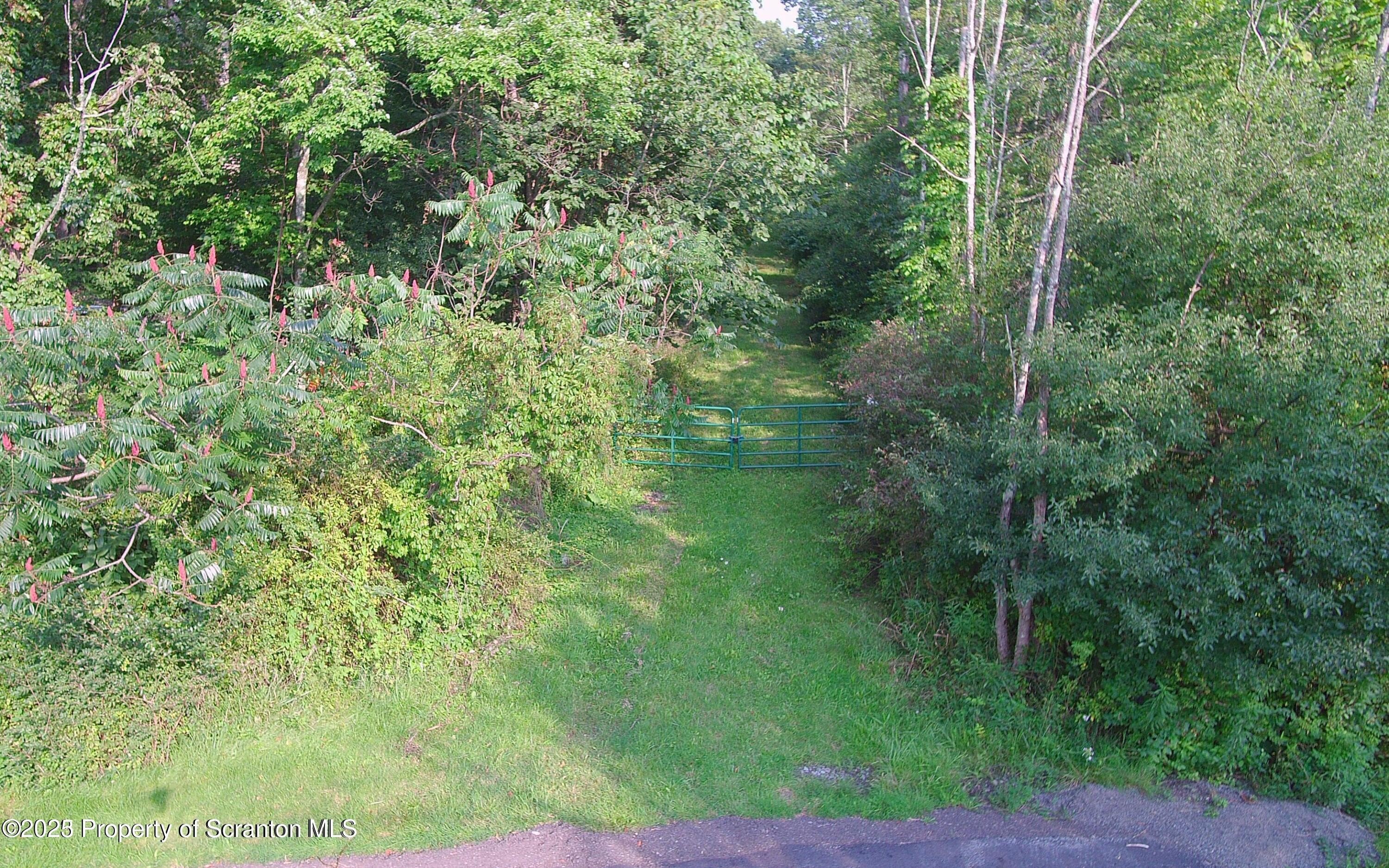 Newton Twp, Pennsylvania, 18411, United States, ,Land,For Sale,1980974