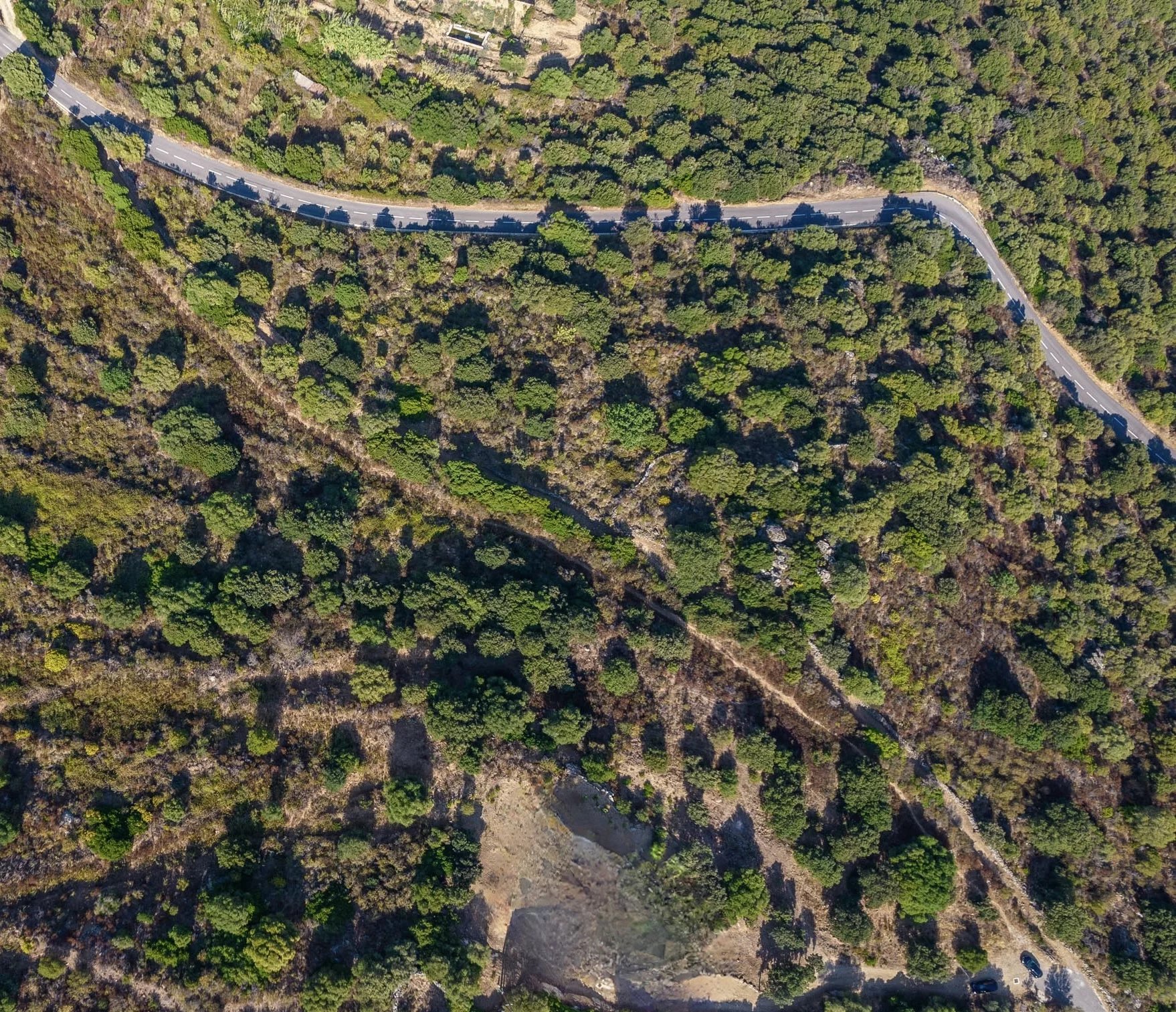 Monticello, Corsica, 20220, FR, ,Land,For Sale,1966226