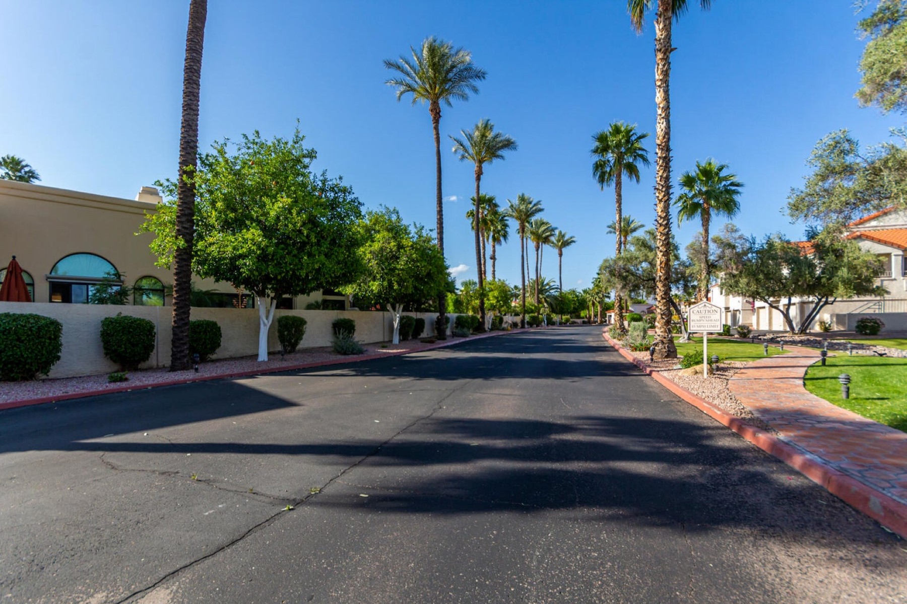  10080 E Mountainview Lake Drive  Scottsdale, AZ - 物件實景