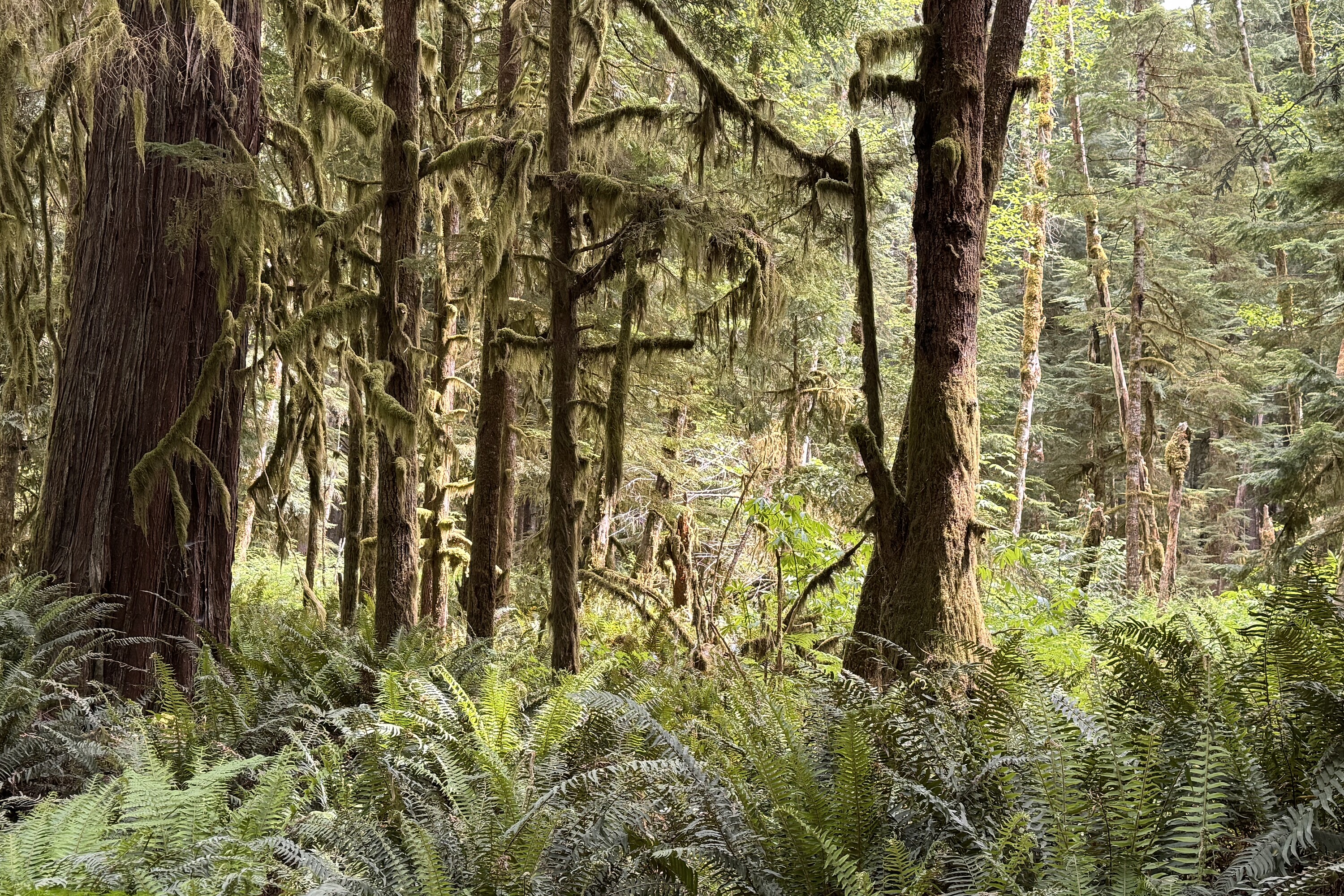  Sechelt, Sunshine Coast - 物件實景