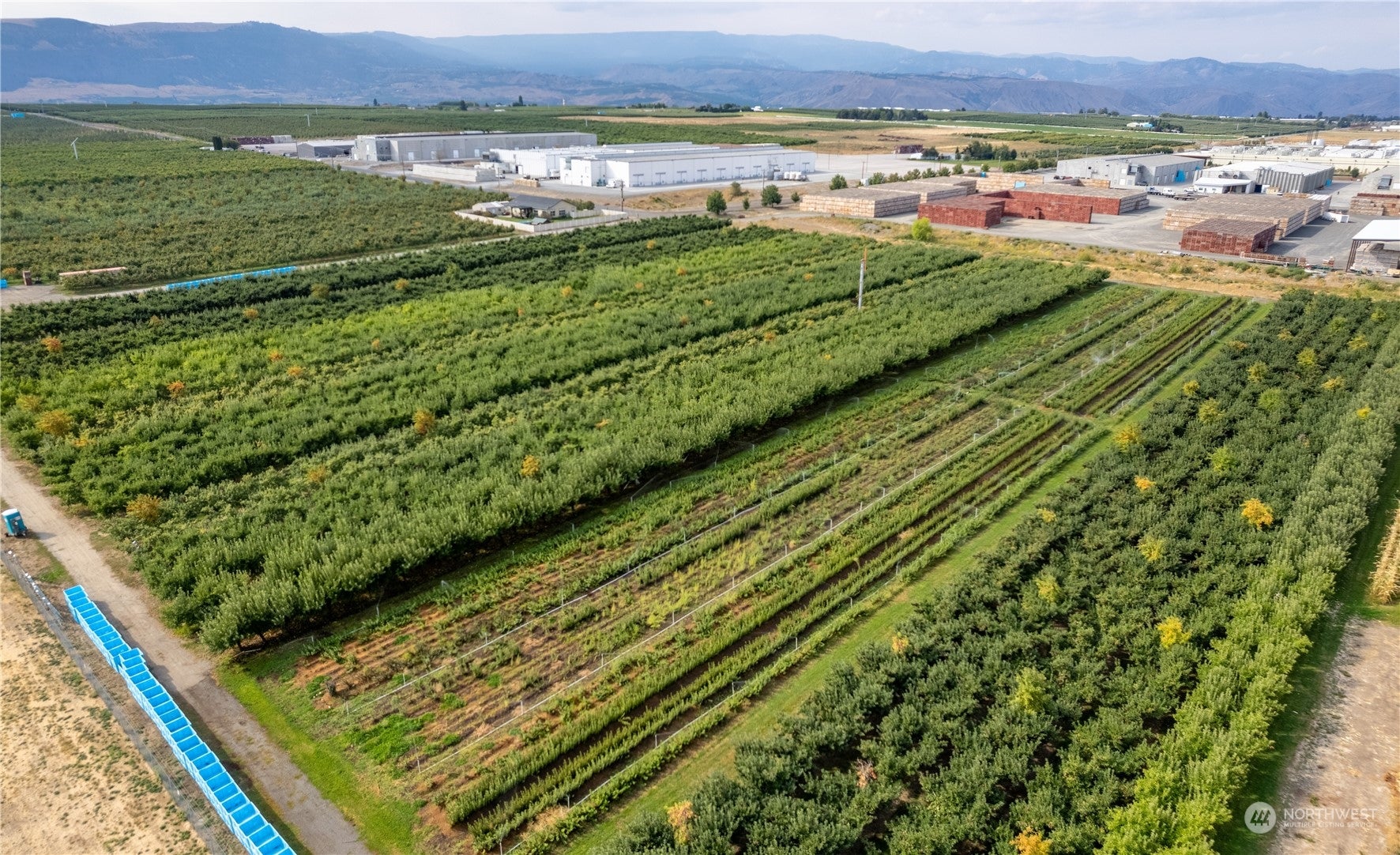 0 S Ward Avenue, East Wenatchee, Washington, 98802, United States, ,Land,For Sale,0 S Ward Avenue,1517879