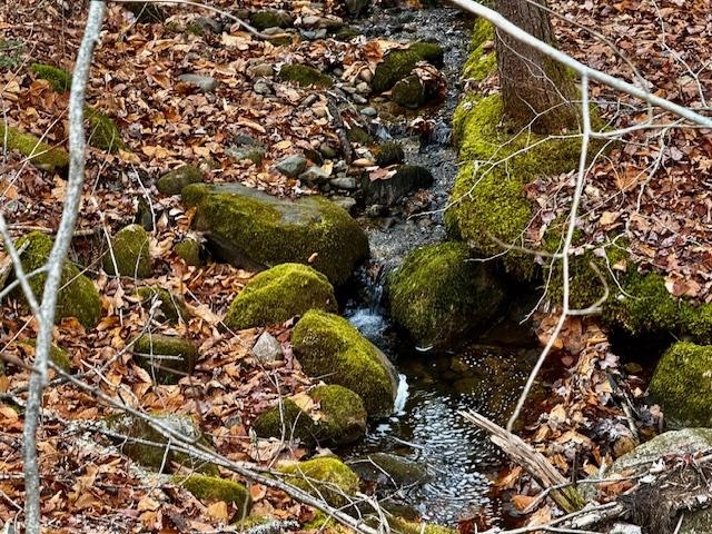 Eaton, New Hampshire, 03848, United States, ,Residential,For Sale,1998522