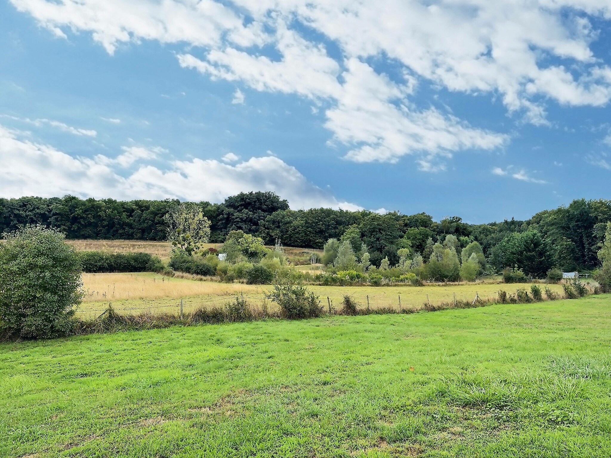  Loire Valley - Near Amboise / Tours - Exceptional Forest Estate – 180 hectares - 物件實景