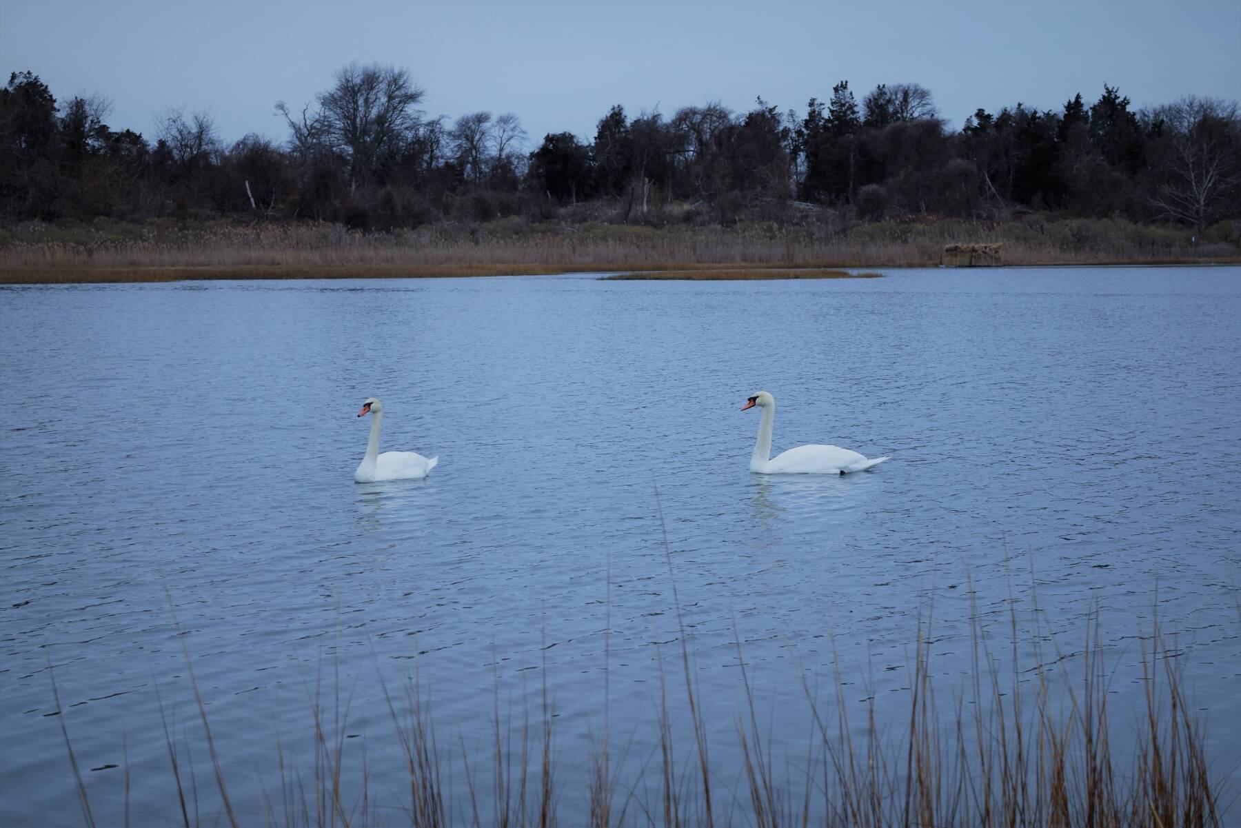  Sag Harbor 2.2 Acre Lot with Views of Golf Course & Bay Access - 物件實景