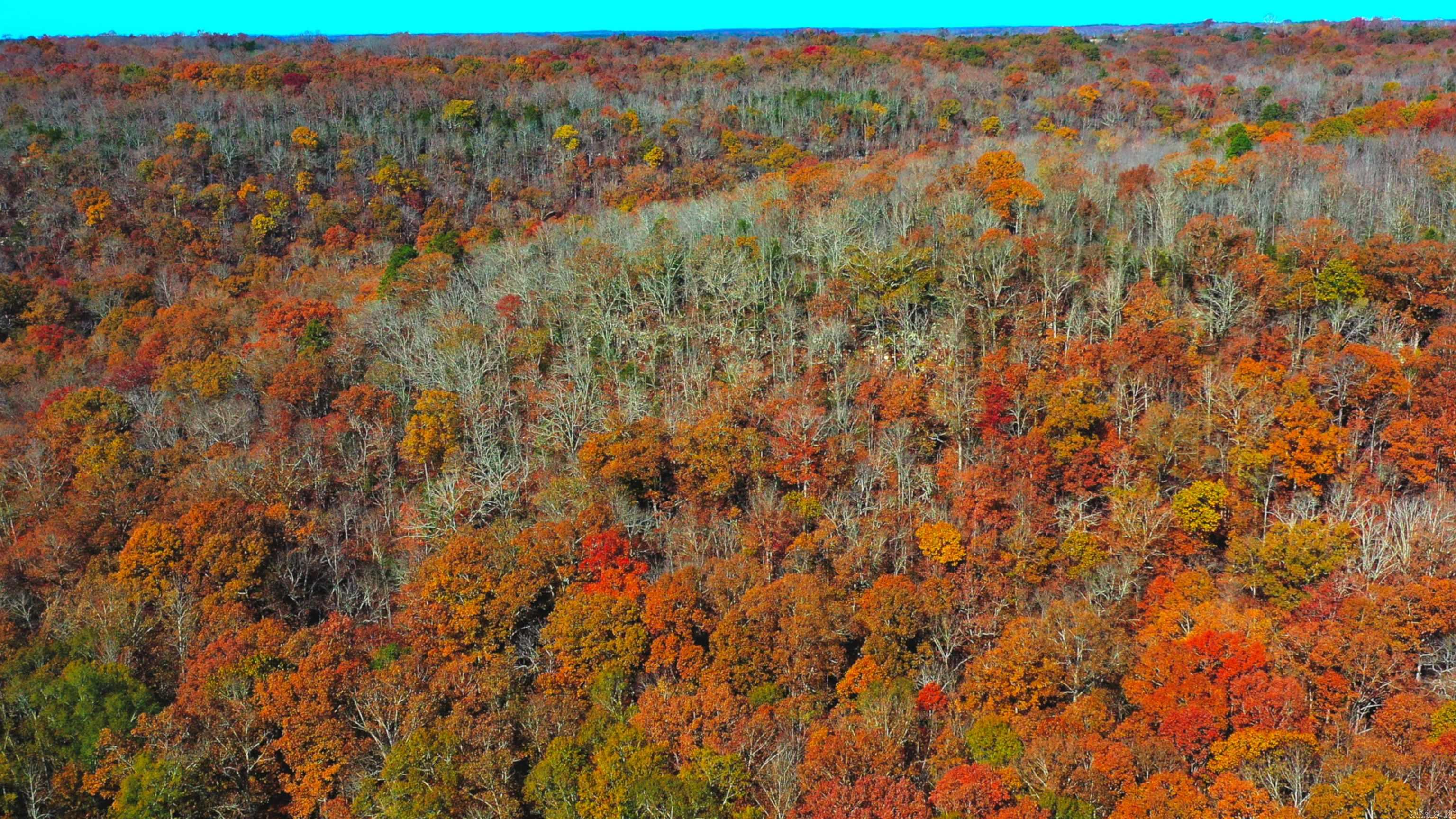 Judsonia, Arkansas, 72081, United States, ,Land,For Sale,1978553