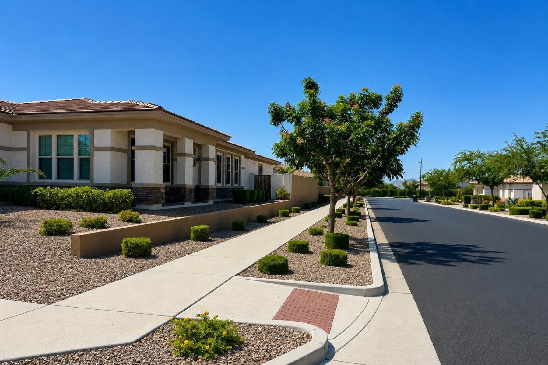  10603 E Tumbleweed Avenue  Mesa, AZ - 物件實景