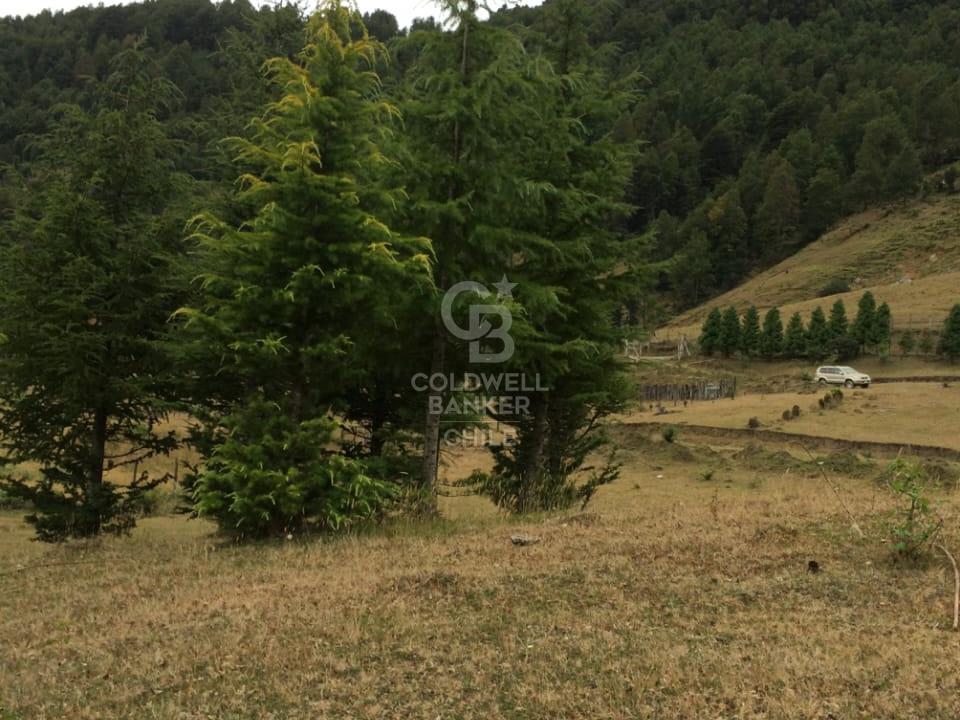 Panguipulli, Chile, 4 Bedrooms Bedrooms, ,2 BathroomsBathrooms,Land,For Sale,1932436