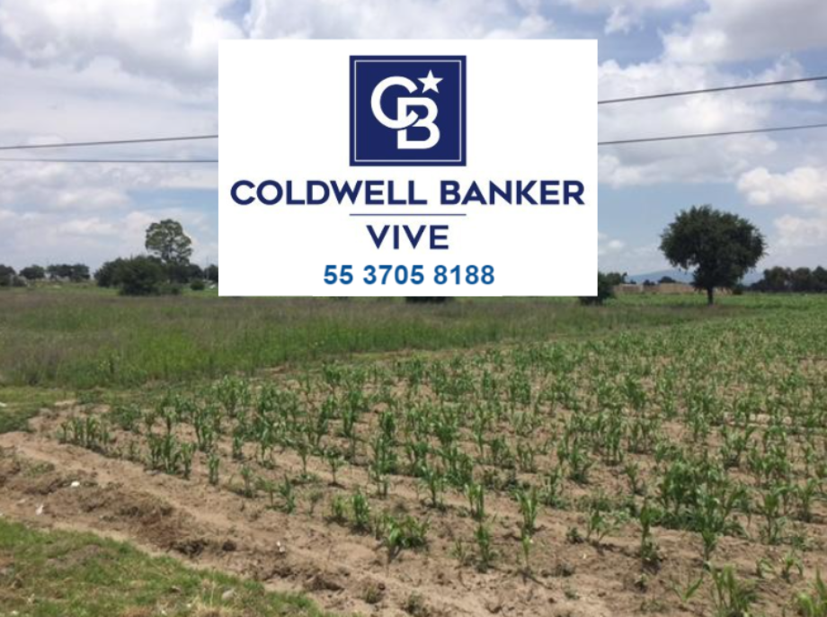 Carretera Mexico-Veracruz, Cuapiaxtla, Tlaxcala, 90560, Mexico, 1 Bedroom Bedrooms, ,Residential,For Sale,Carretera Mexico-Veracruz,1611291