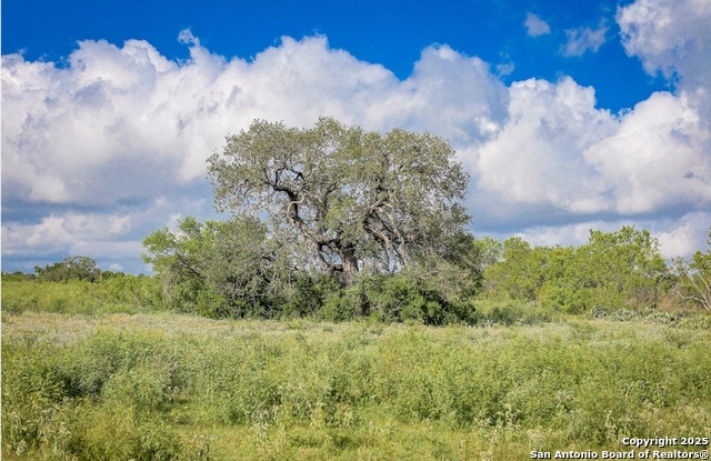 San Antonio, Texas, 78223, United States, ,Land,For Sale,1926379