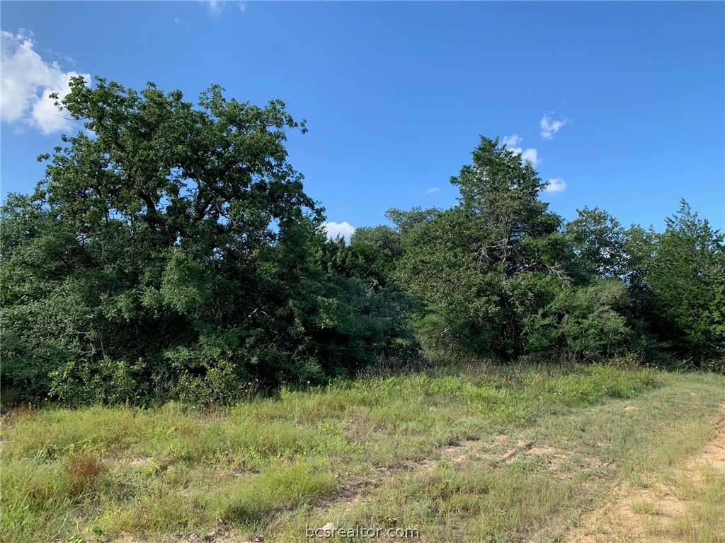 5632 County Road 317, Caldwell, Texas, 77836, United States, ,Land,For Sale,5632 County Road 317,1609859