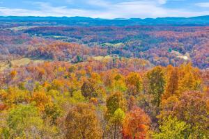 Fincastle, Virginia, 24090, United States, ,Residential,For Sale,1989448