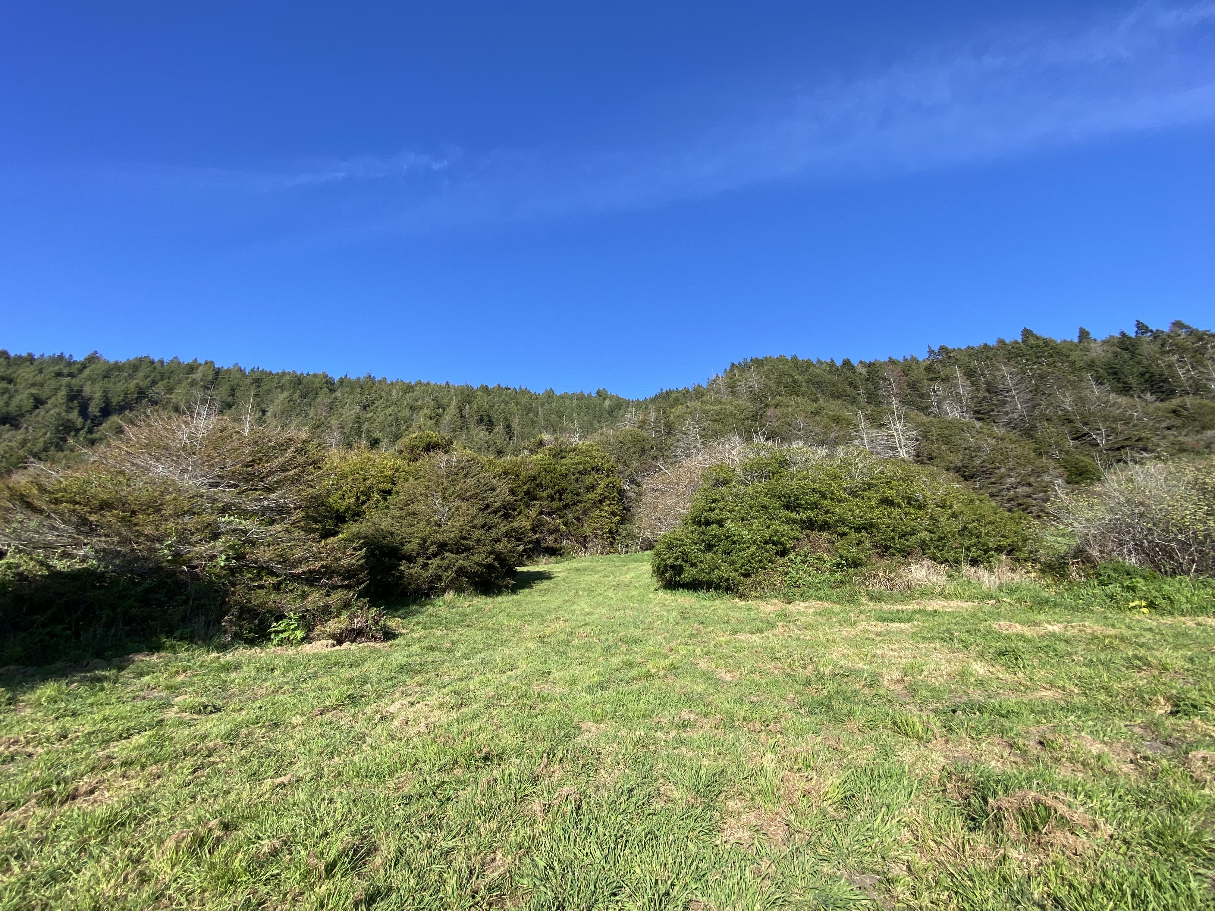  20-Acre Ocean View Parcel - 物件實景