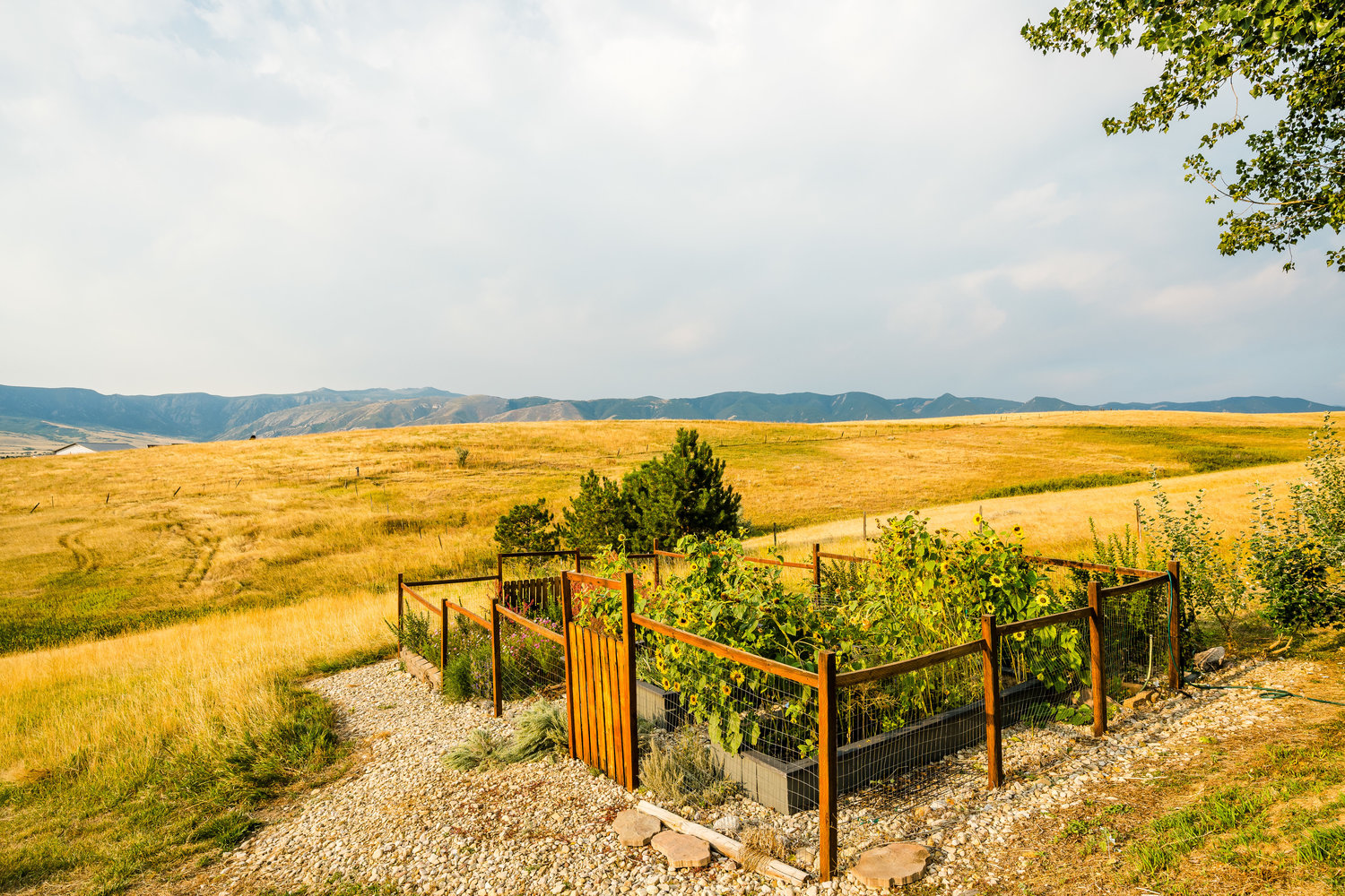 Big Horn, Wyoming, 82833, United States, 3 Bedrooms Bedrooms, ,4 BathroomsBathrooms,Residential,For Sale,1765363