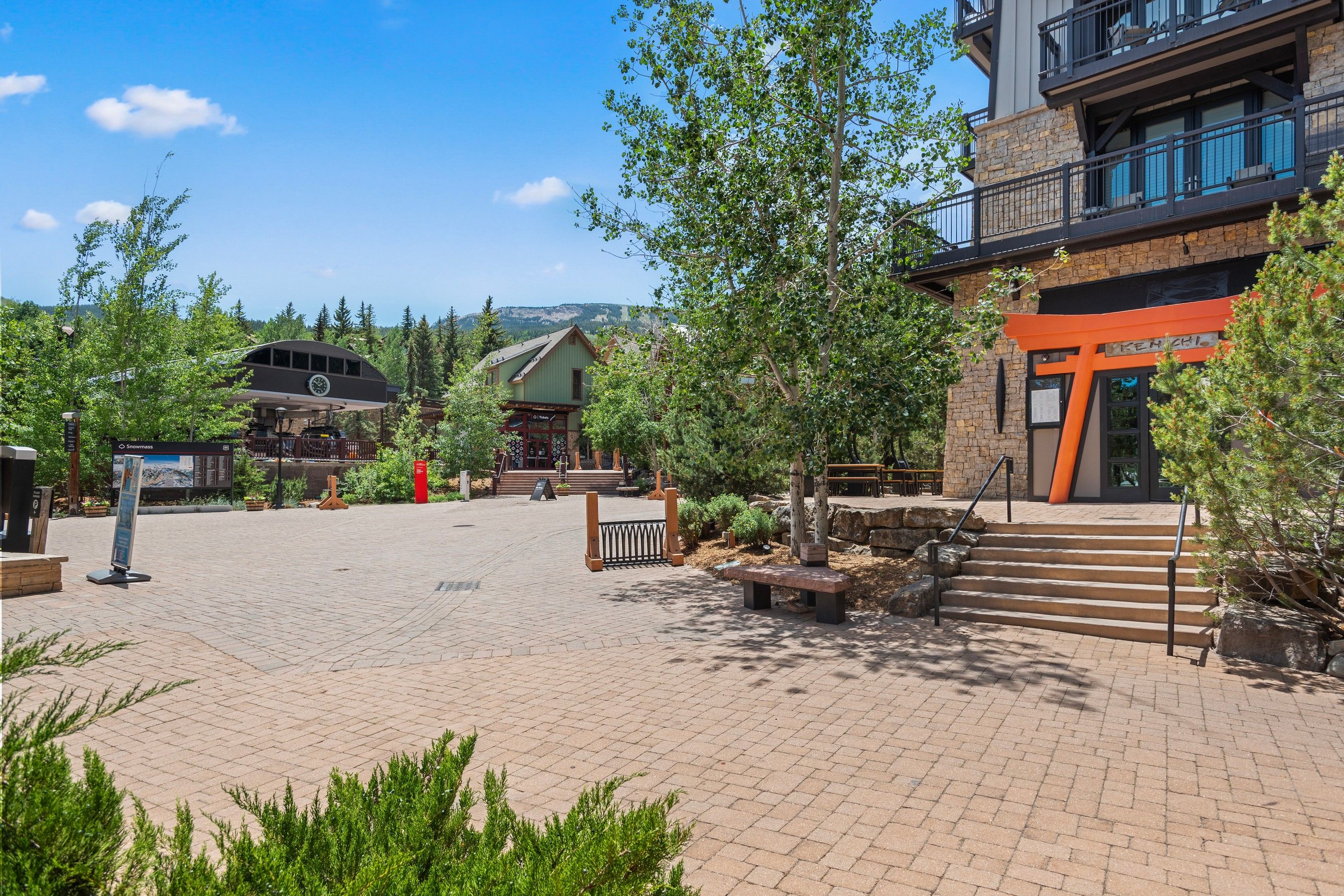  90 Carriage Way, Snowmass Village, CO, 81615 - 物件實景