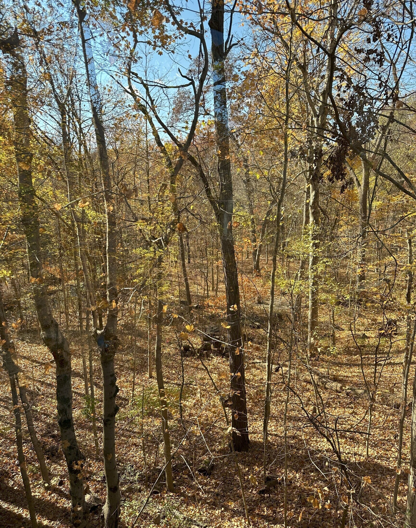 Fishers, Indiana, 46038, United States, 6 Bedrooms Bedrooms, ,4 BathroomsBathrooms,Residential,For Sale,1987782