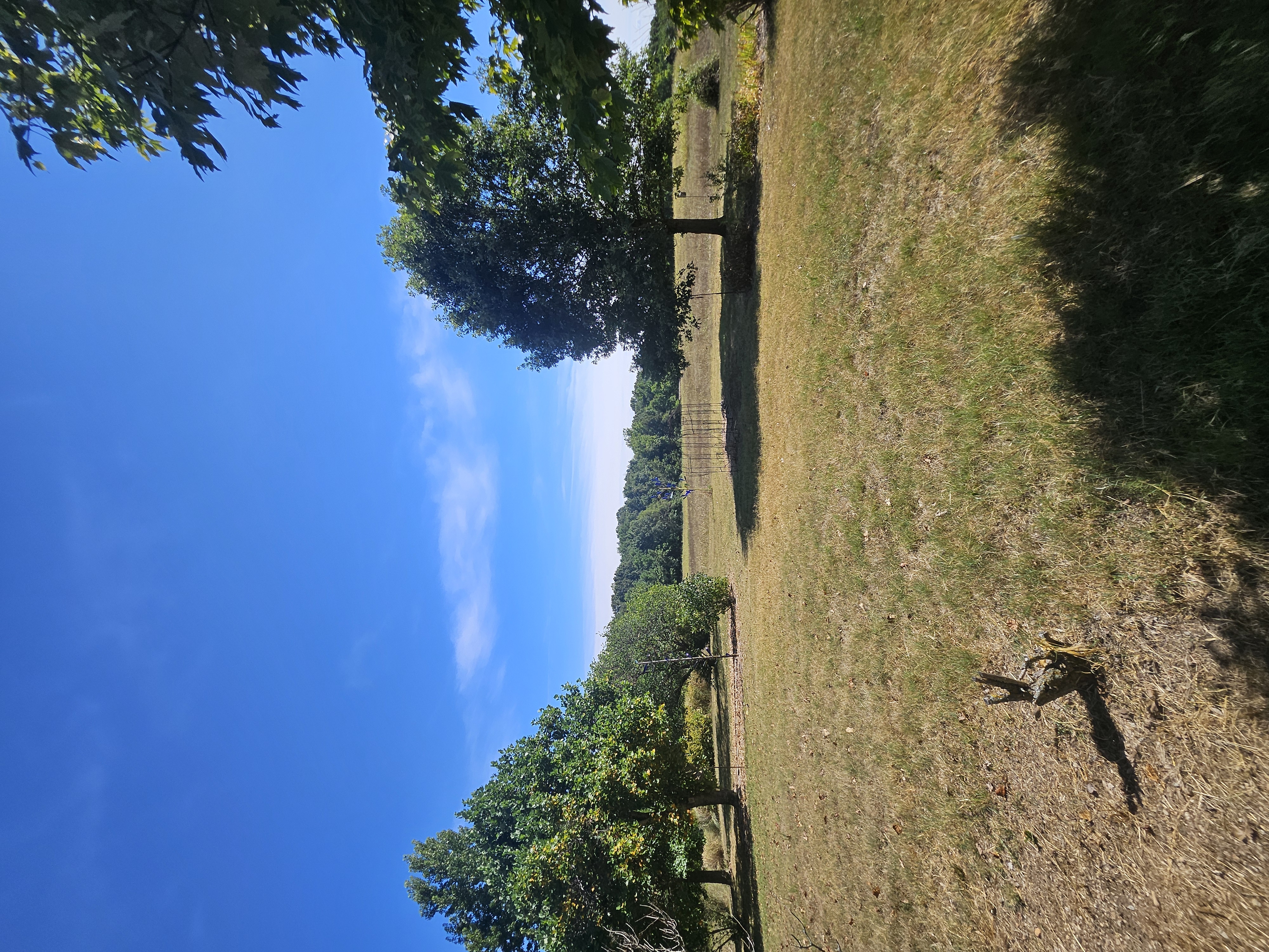 Pierce City, Missouri, 65723, United States, 5 Bedrooms Bedrooms, ,3 BathroomsBathrooms,Residential,For Sale,1975319