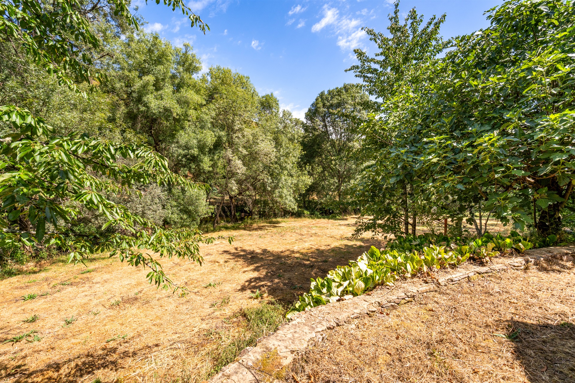  Farm, 5 bedrooms, for Sale - 物件實景