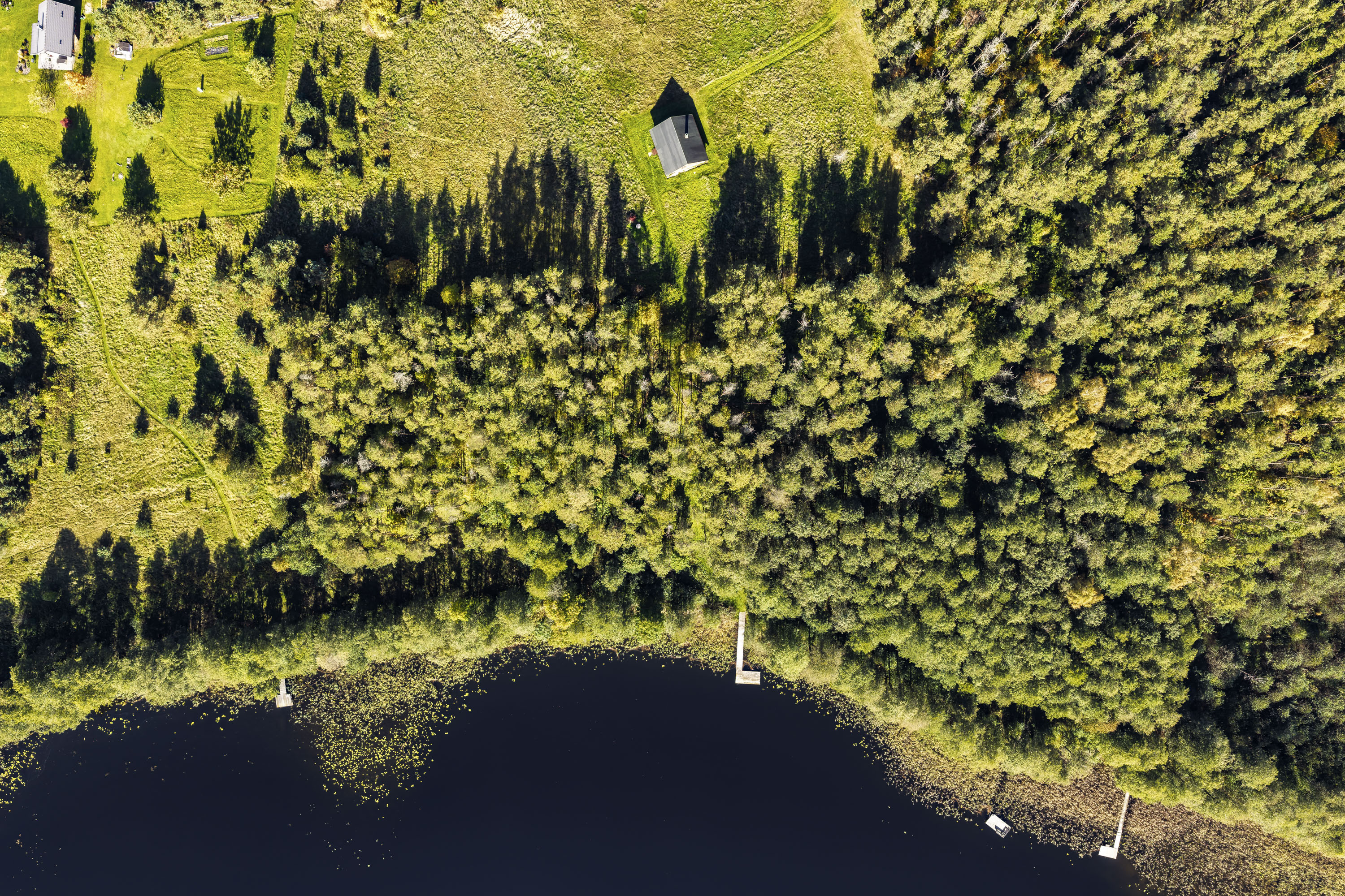  Your place by the lake, surrounded by forest - 物件實景