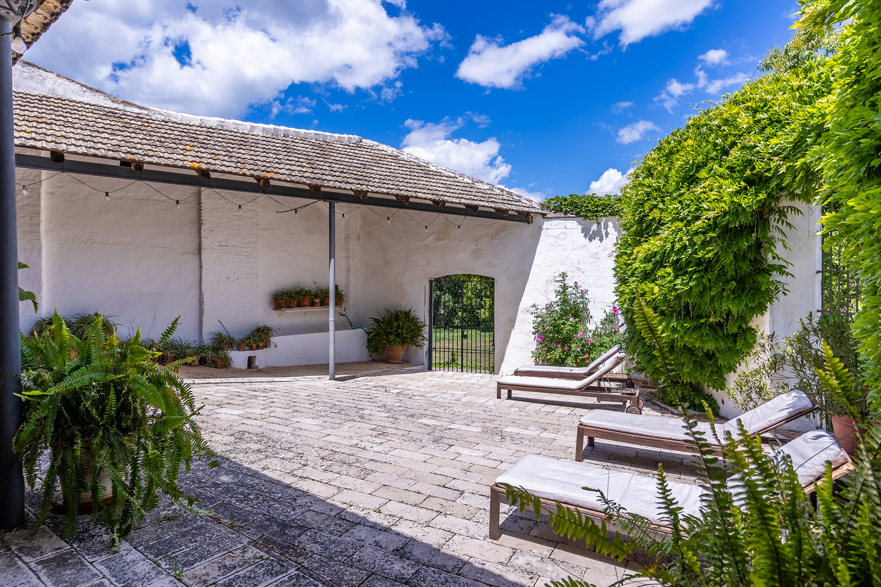  Historic, unique, and sustainable property in Seville - 物件實景