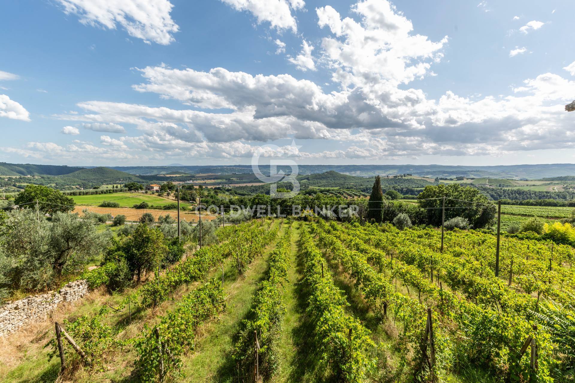 Strada Poggi, Orvieto, Terni, 05018, IT, 20 Bedrooms Bedrooms, ,10 BathroomsBathrooms,Residential,For Sale,Strada Poggi,1668933