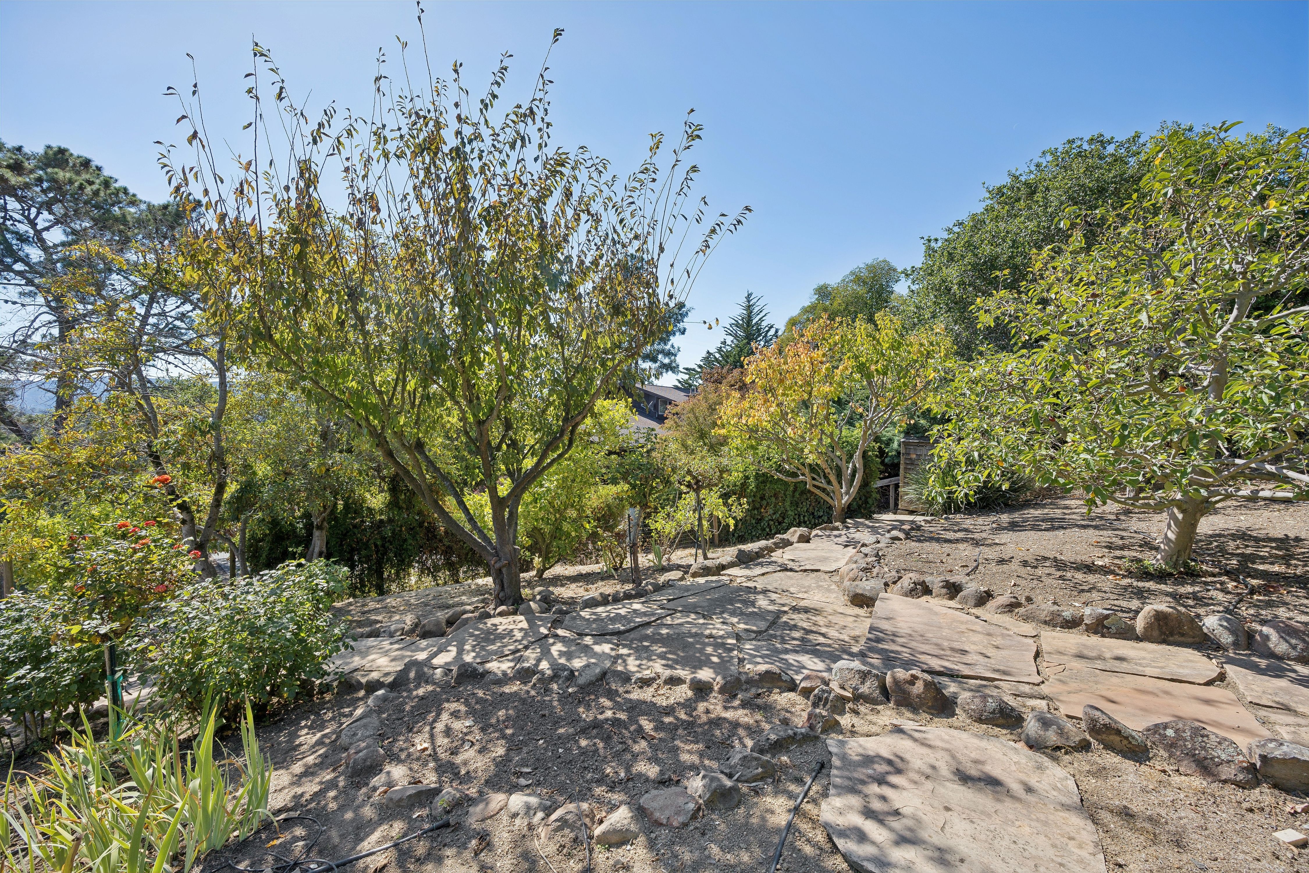  The Tiburon Home You Have Been Looking For - 物件實景