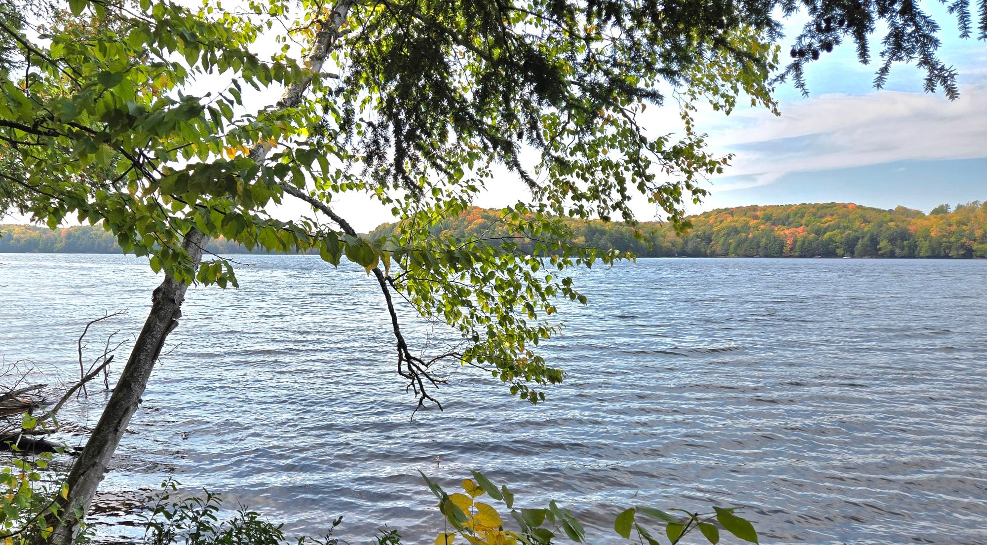 Presque Isle, Wisconsin, 54557, United States, ,Land,For Sale,1984076