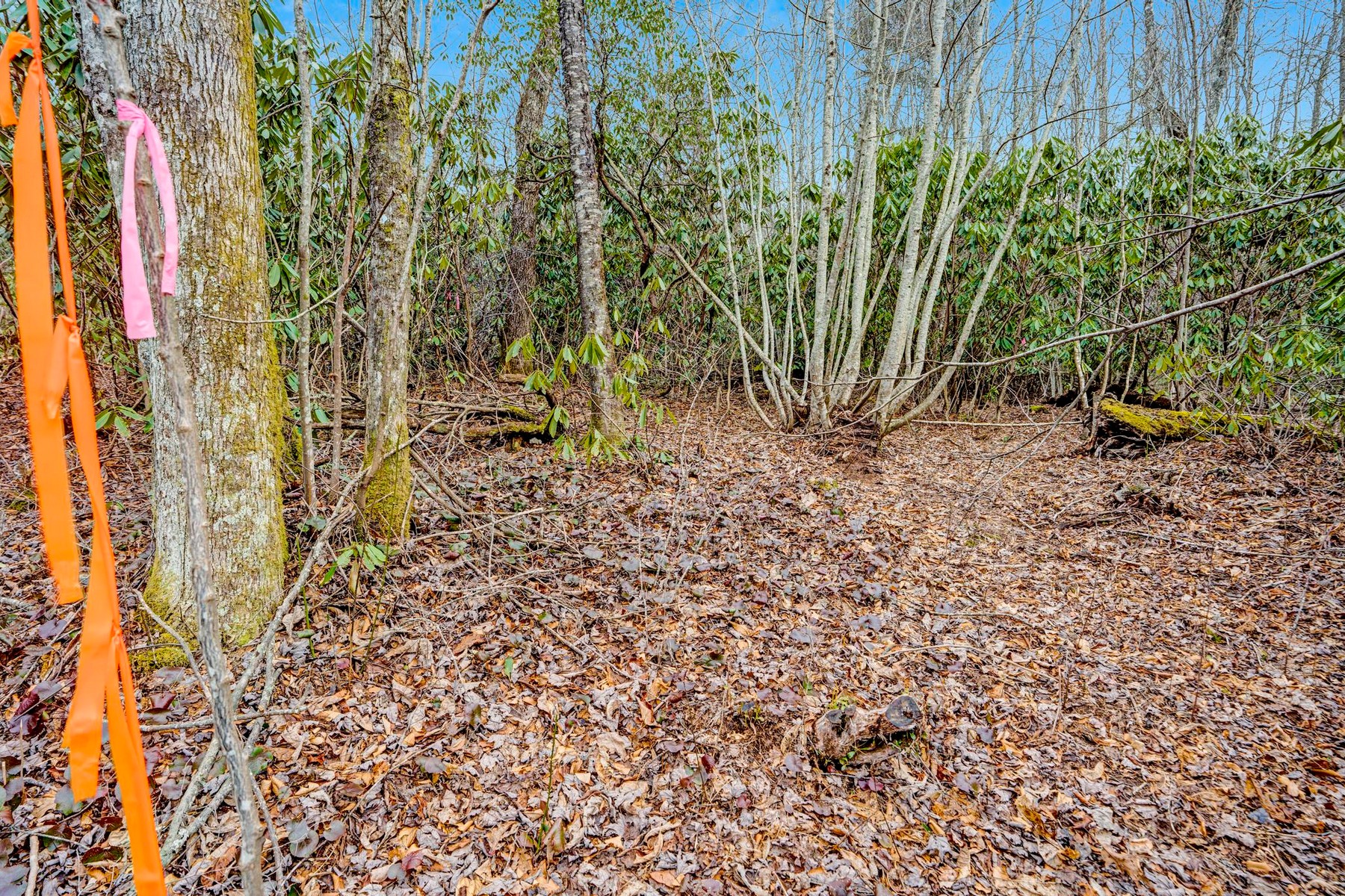  Lot 21 Hardscrabble Ridge Road - 物件實景