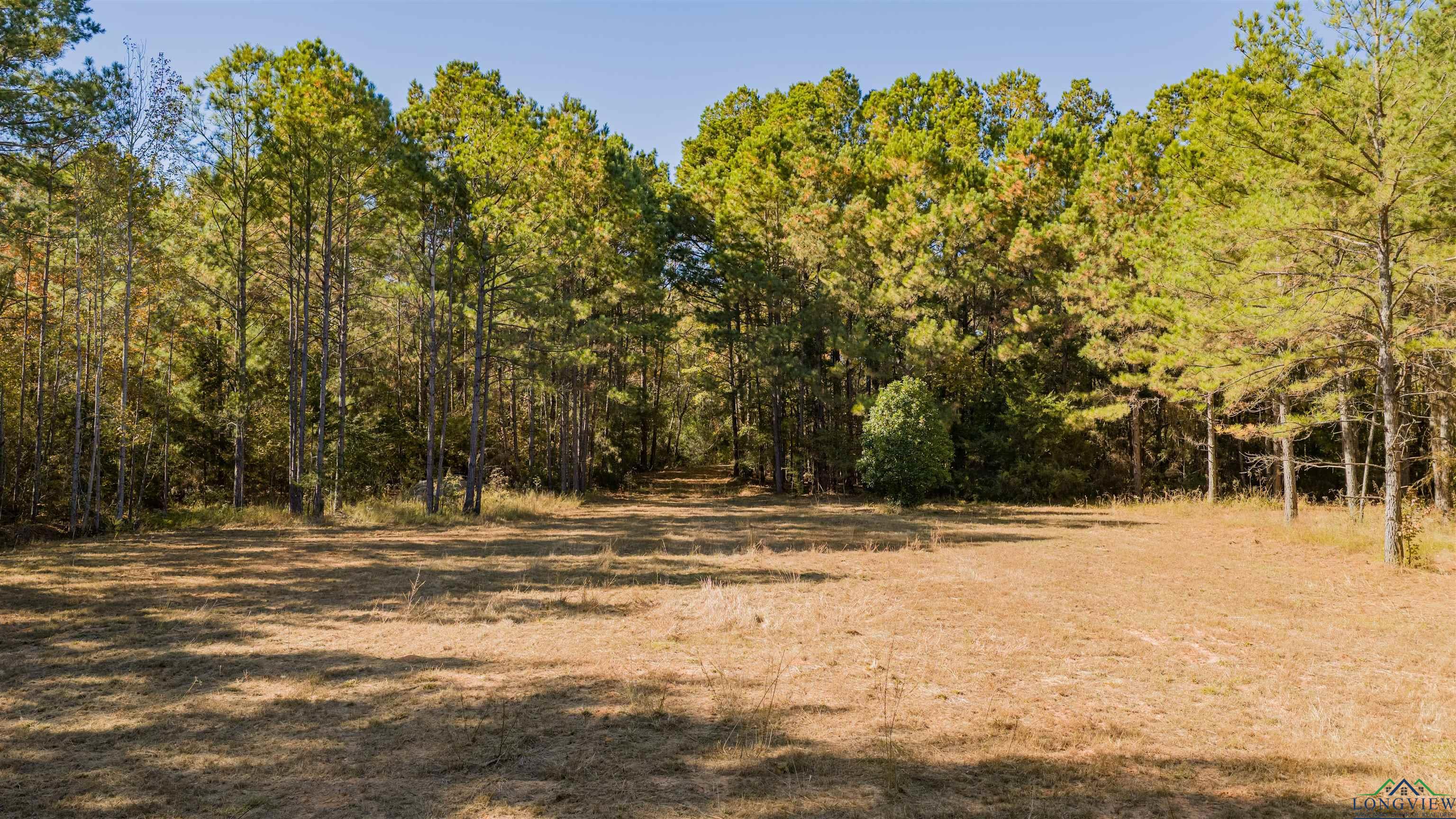 Diana, Texas, 75640, United States, ,Residential,For Sale,1993396