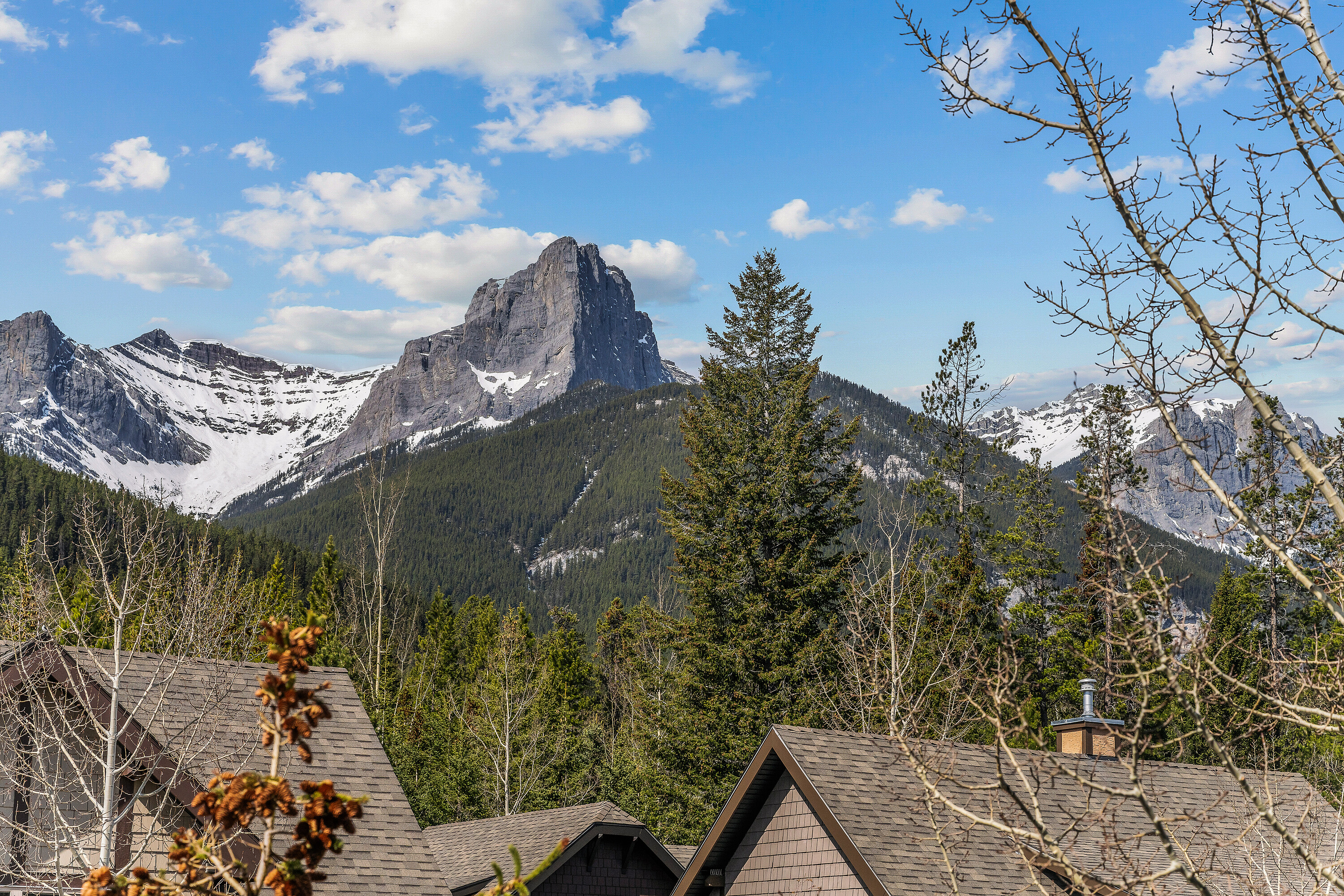  Mountain Living Single Family - 物件實景