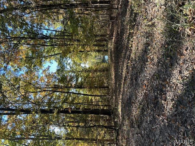 Jackson, Missouri, 63755, United States, ,Residential,For Sale,1879688