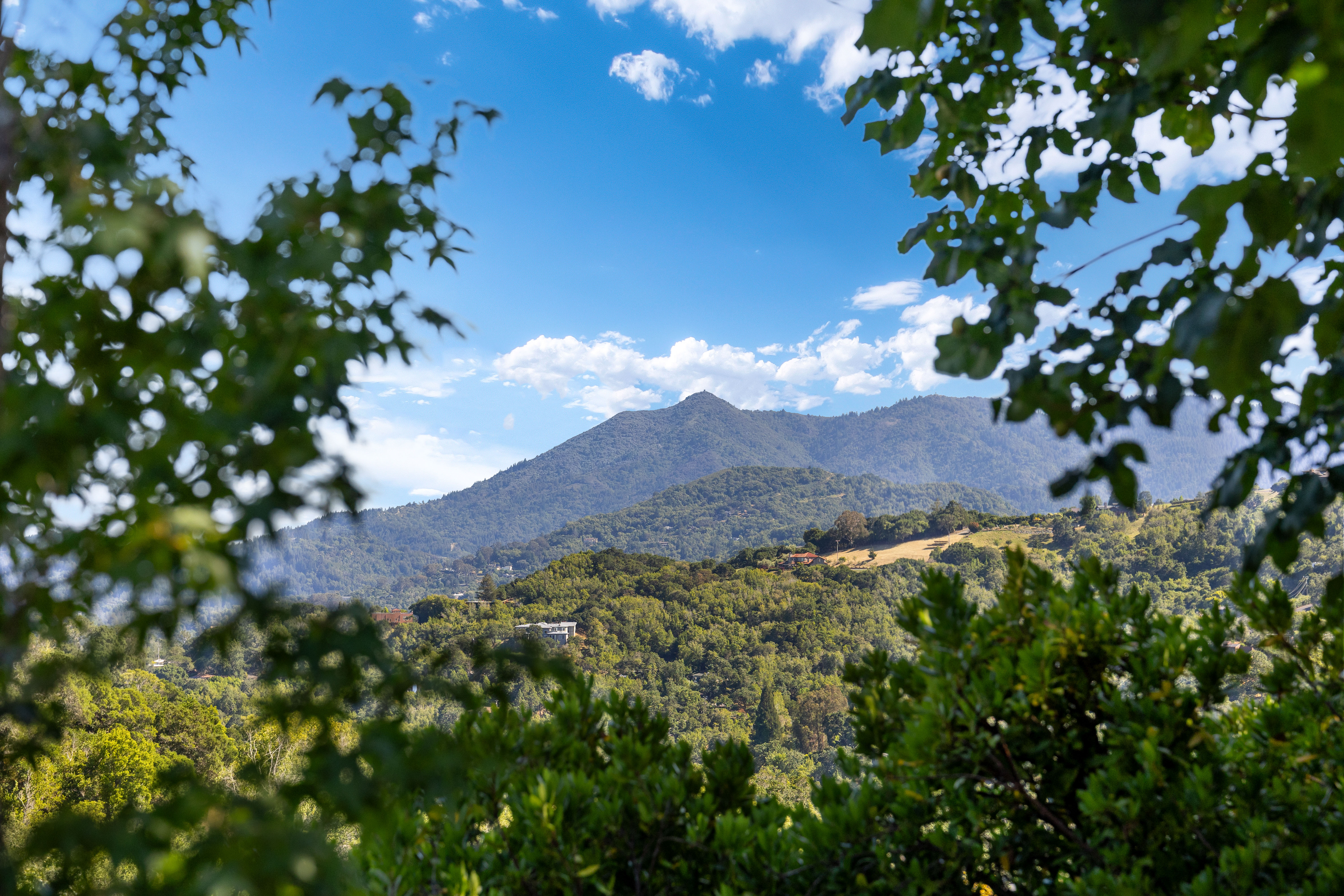  Secluded San Anselmo Estate With 270 Degree Panoramic Views On Almost Four Acres - 物件實景