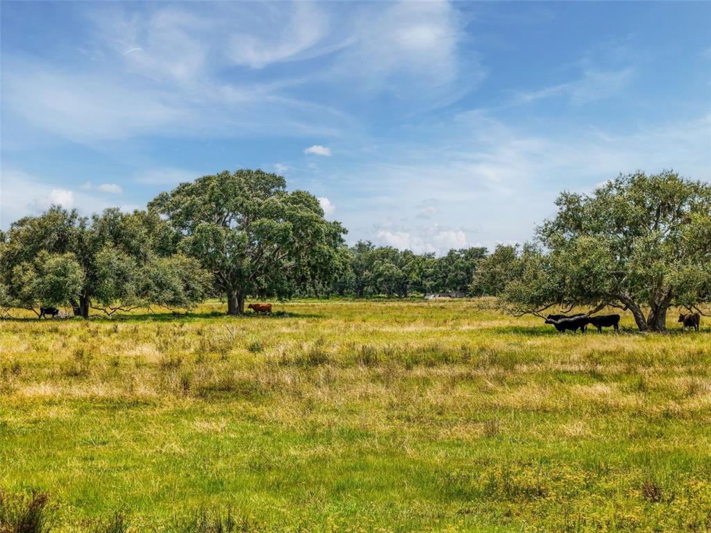 Myakka City, Florida, 34251, United States, ,Land,For Sale,1908306