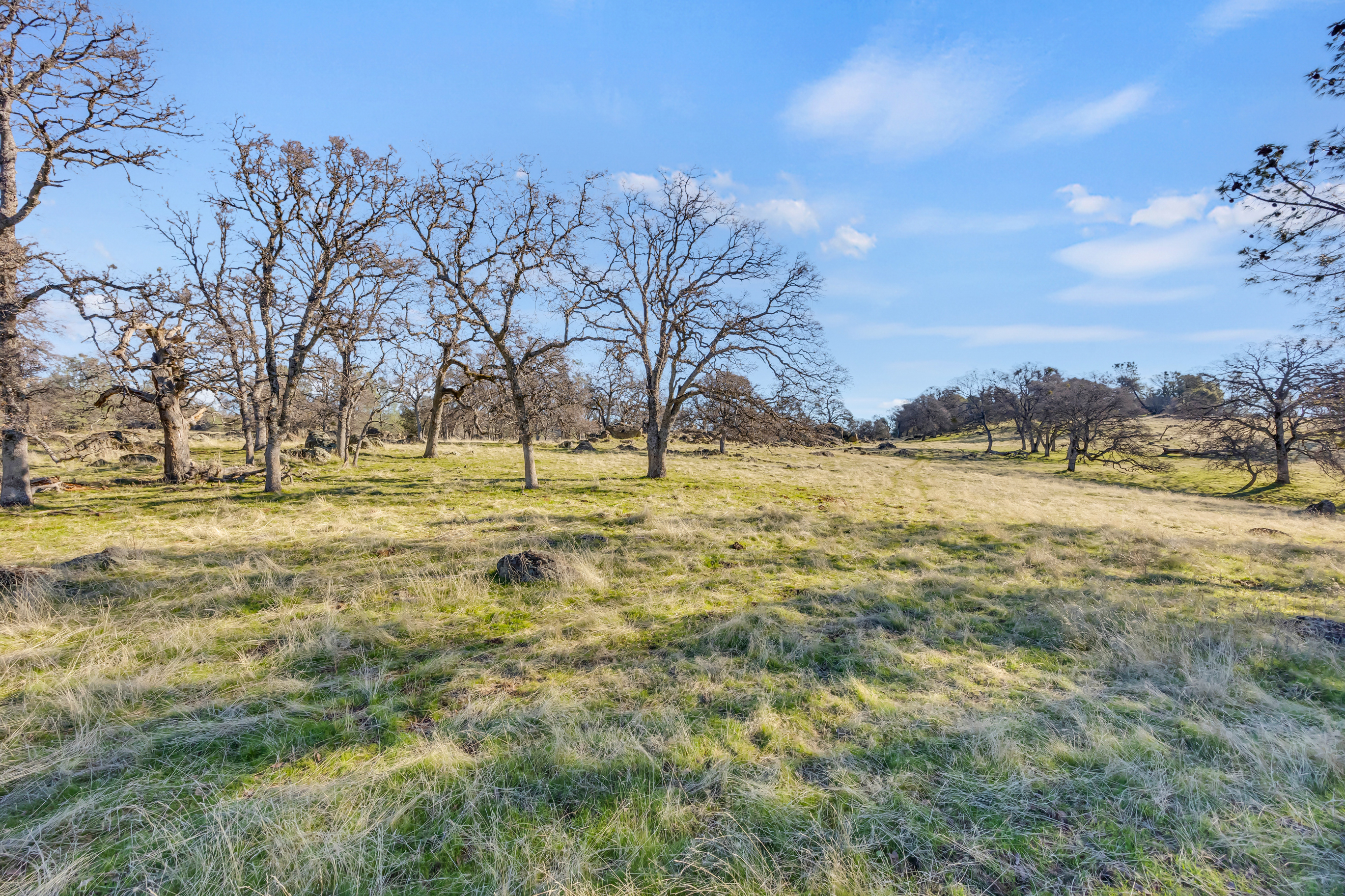  23443 Corino Way, Grass Valley, CA 95949 - 物件實景