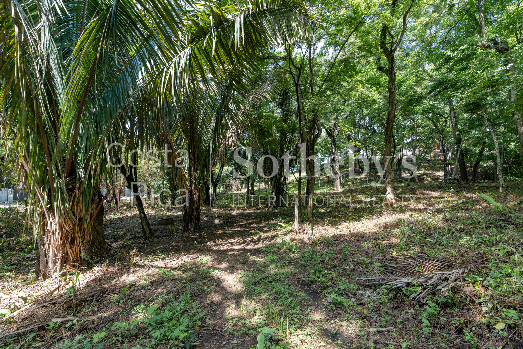  Playa Pelada Large Property - 物件實景
