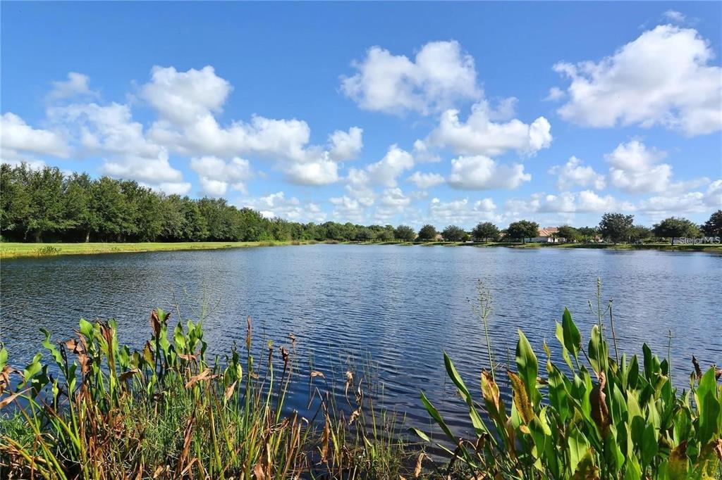 Bradenton, Florida, 34212, United States, 4 Bedrooms Bedrooms, ,5 BathroomsBathrooms,Residential,For Sale,1856587