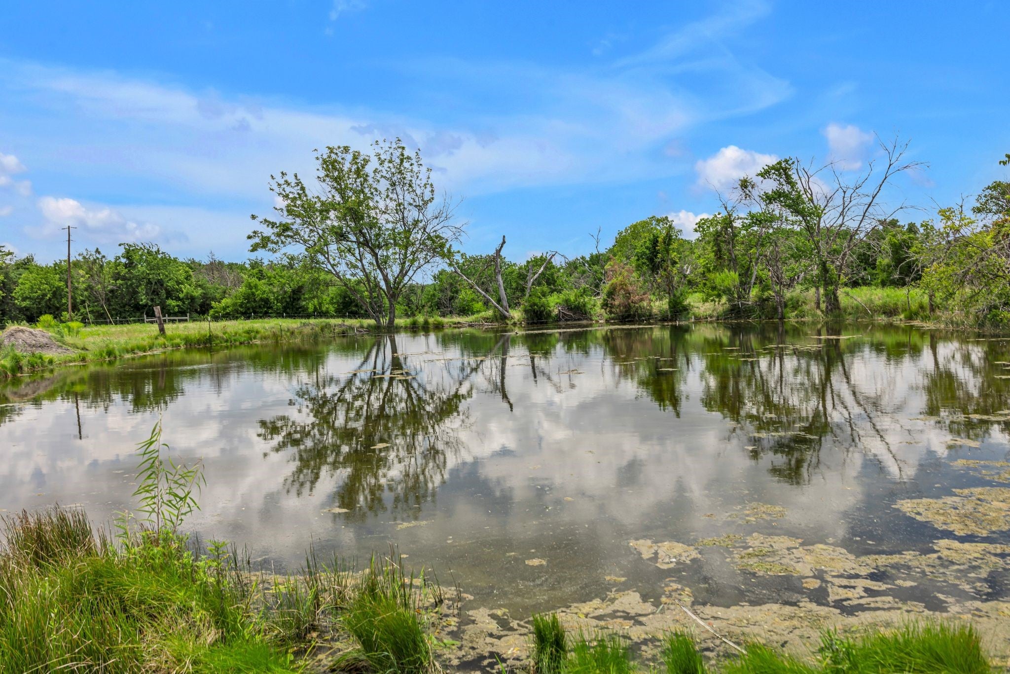 Forney, Texas, 75126, United States, ,Land,For Sale,1979066