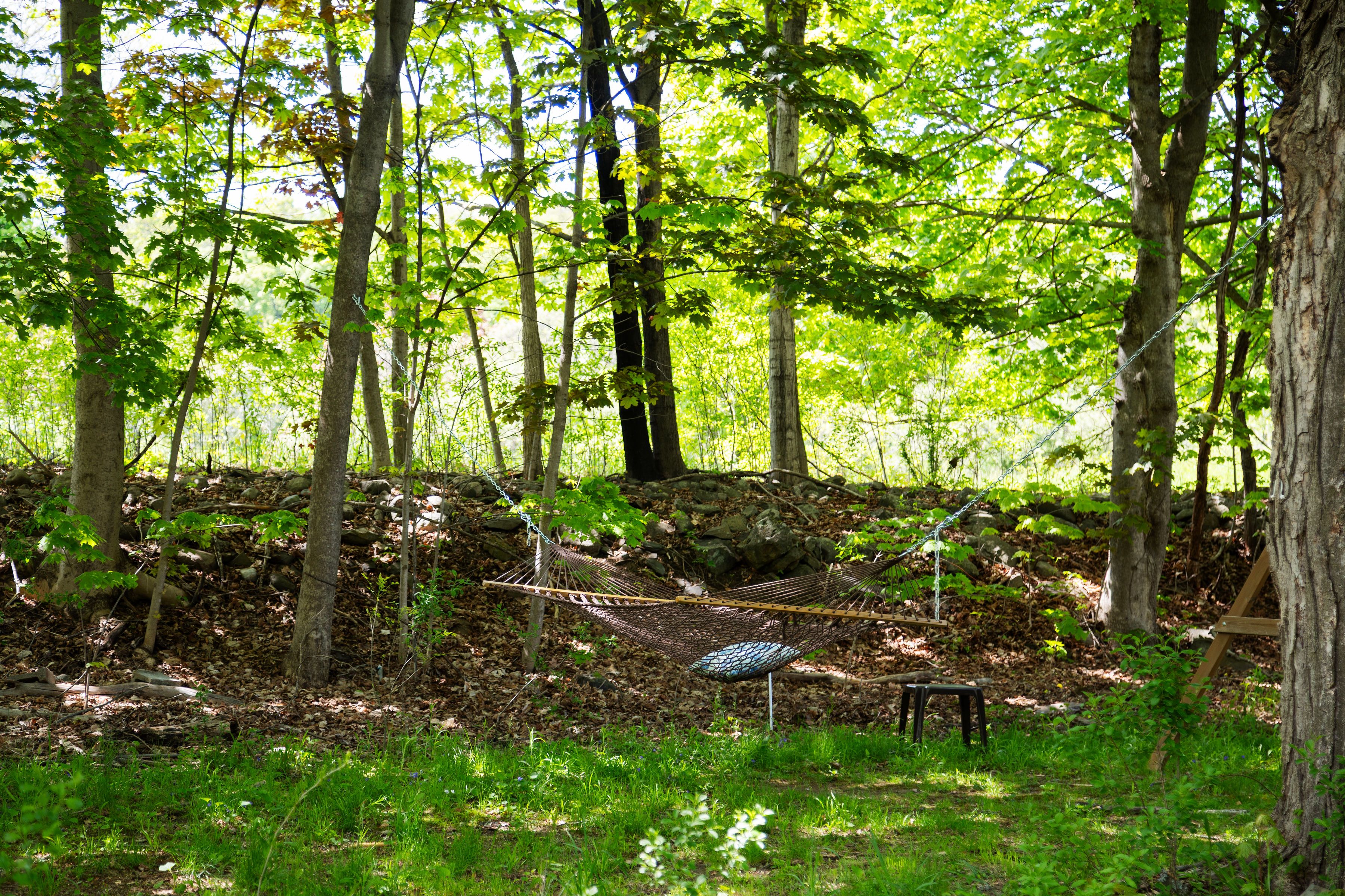  43 Vedder Road, Climax, NY, 12042 - 物件實景
