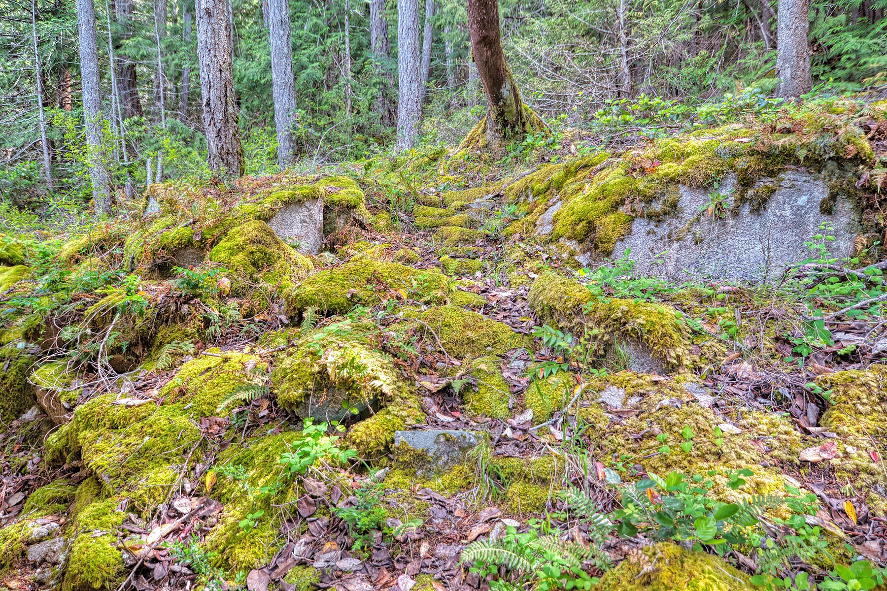  Sechelt, Sunshine Coast - 物件實景