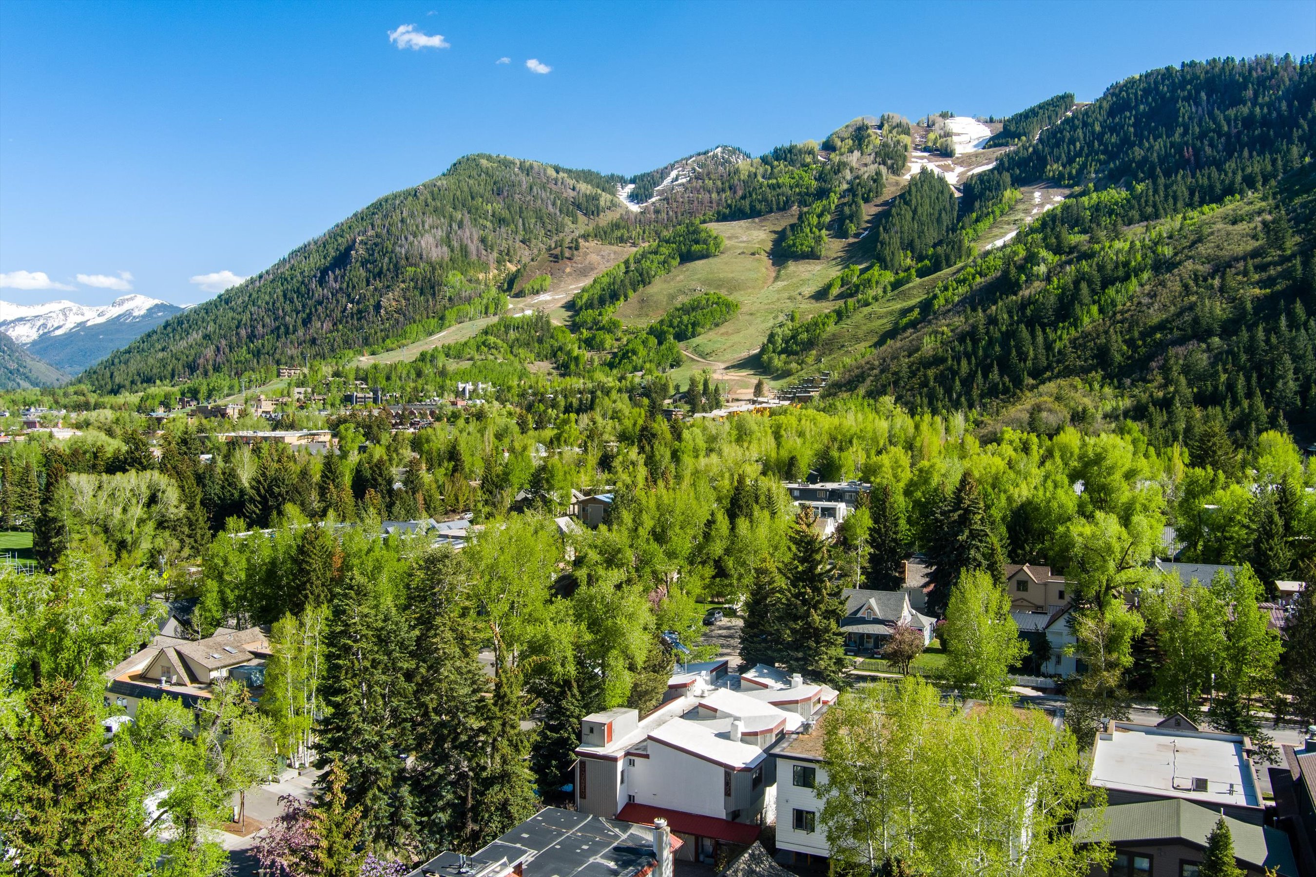  The Jewel of Aspen; an Elegant 4-Unit Lady Victorian - 物件實景