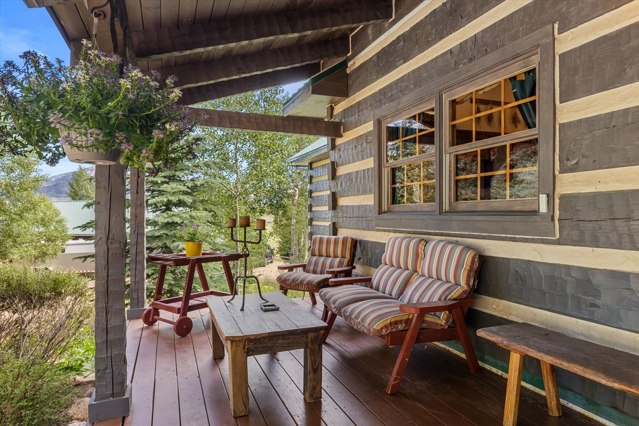  59205 Button Willow Drive, Clark, CO, 80428 - 物件實景