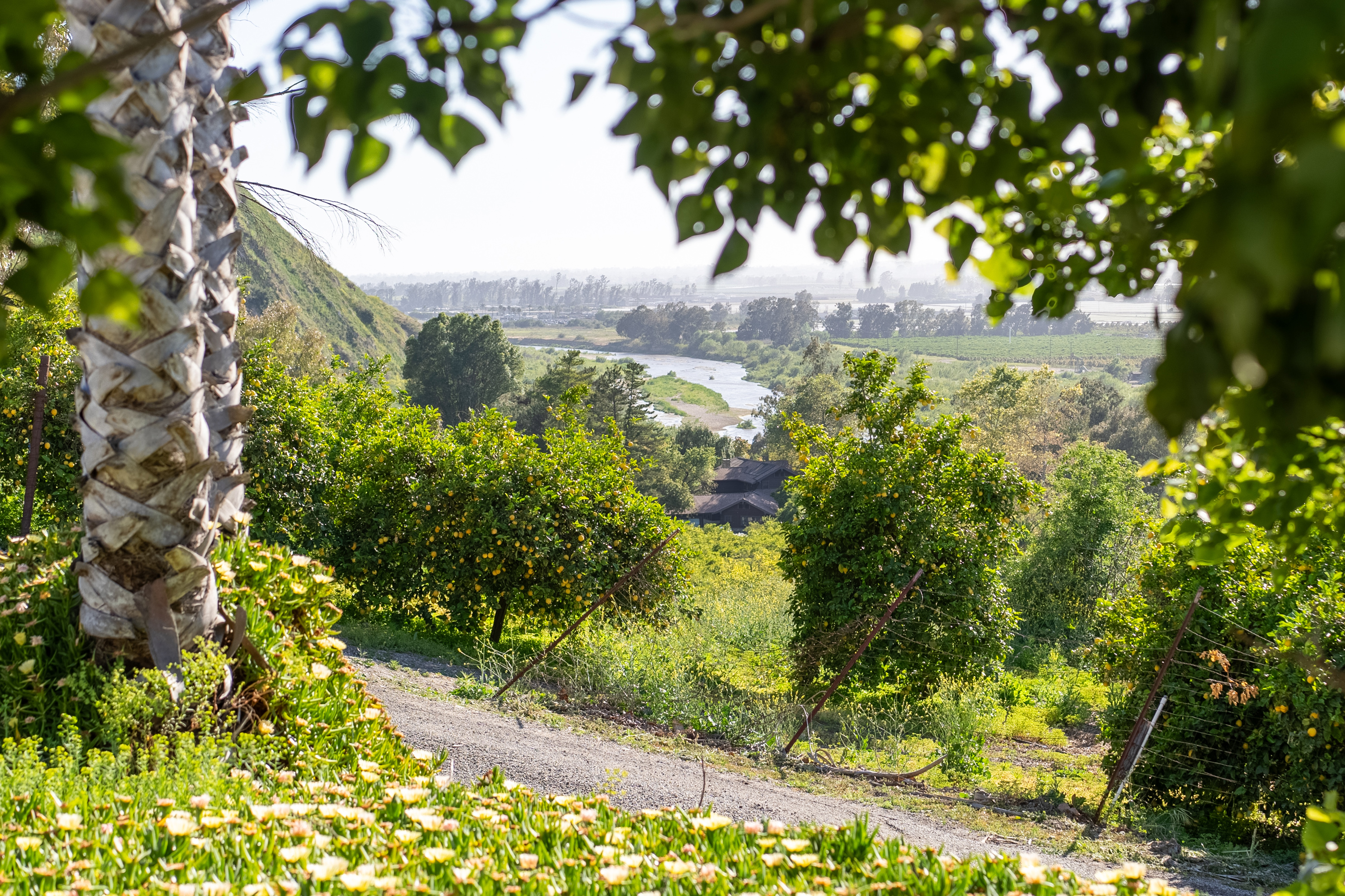 15454 S. Mountain Road - 物件實景