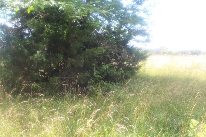 Polk, Missouri, 65727, United States, ,Land,For Sale,1980569