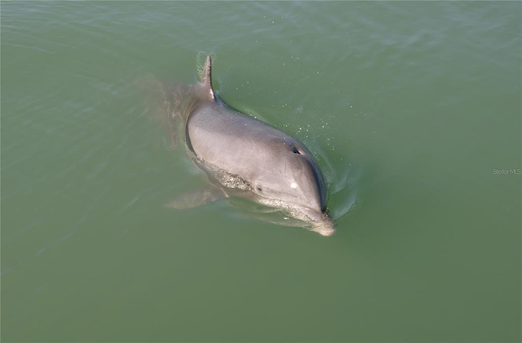 Englewood, Florida, 34223, United States, 2 Bedrooms Bedrooms, ,2 BathroomsBathrooms,Residential,For Sale,1995448