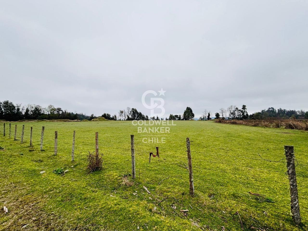 Futrono, Chile, ,Residential,For Sale,1934397