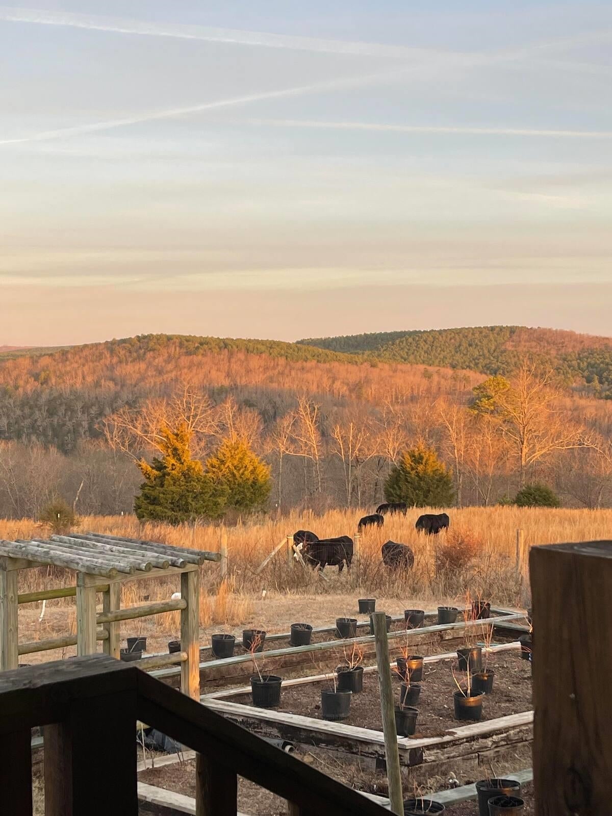 Mountain View, Arkansas, 72560, United States, 4 Bedrooms Bedrooms, ,2 BathroomsBathrooms,Residential,For Sale,1988851