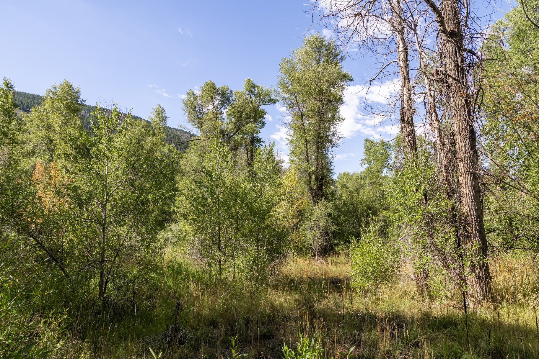  Rare Weber River Frontage Homesite - 物件實景
