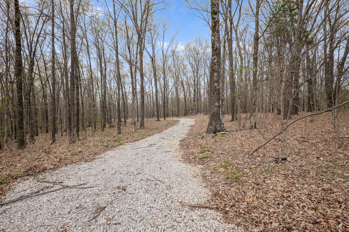 Jonesboro, Arkansas, 72404, United States, ,Residential,For Sale,1759589